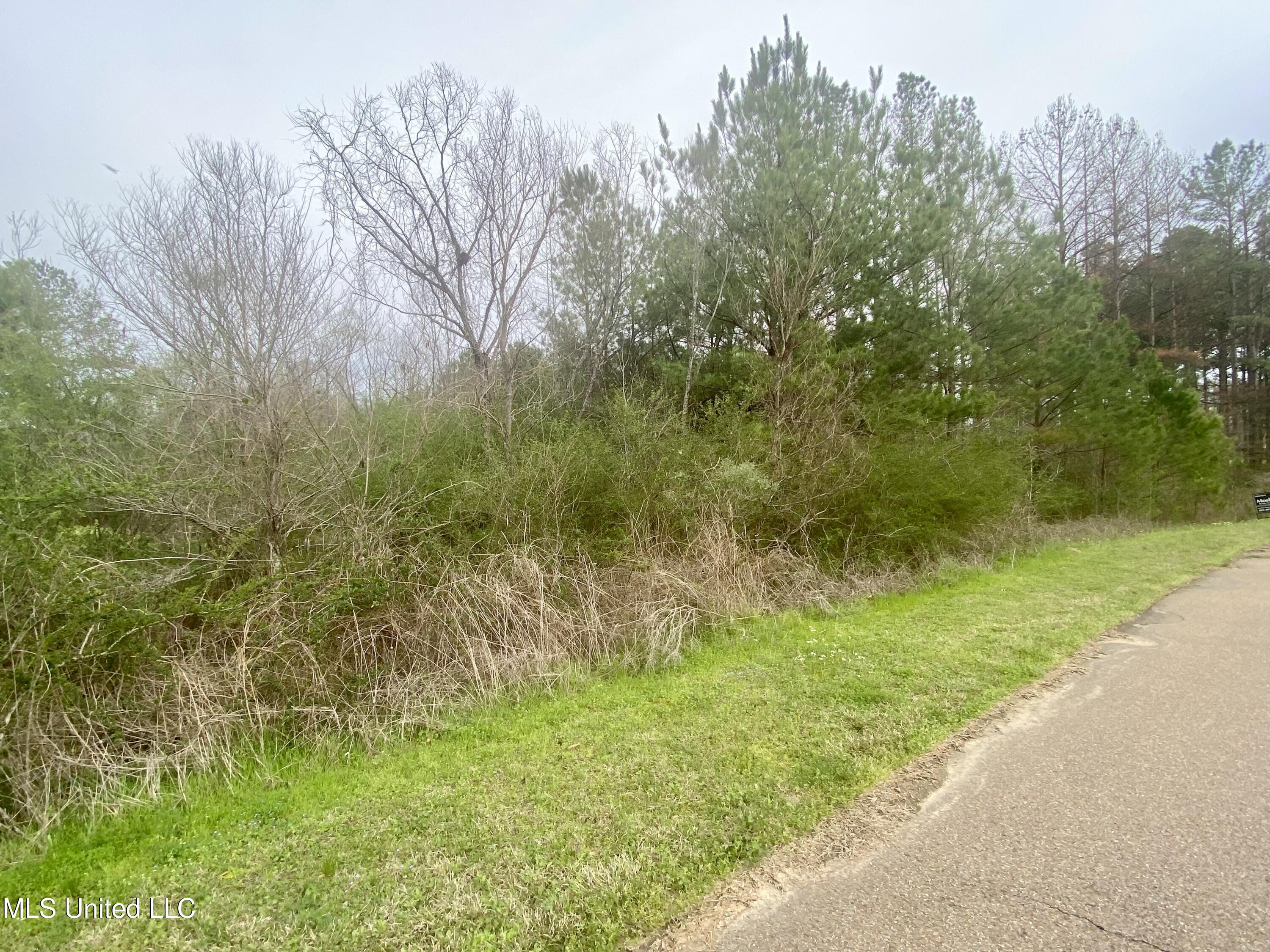 Edward Owens Dr Property Photo 1