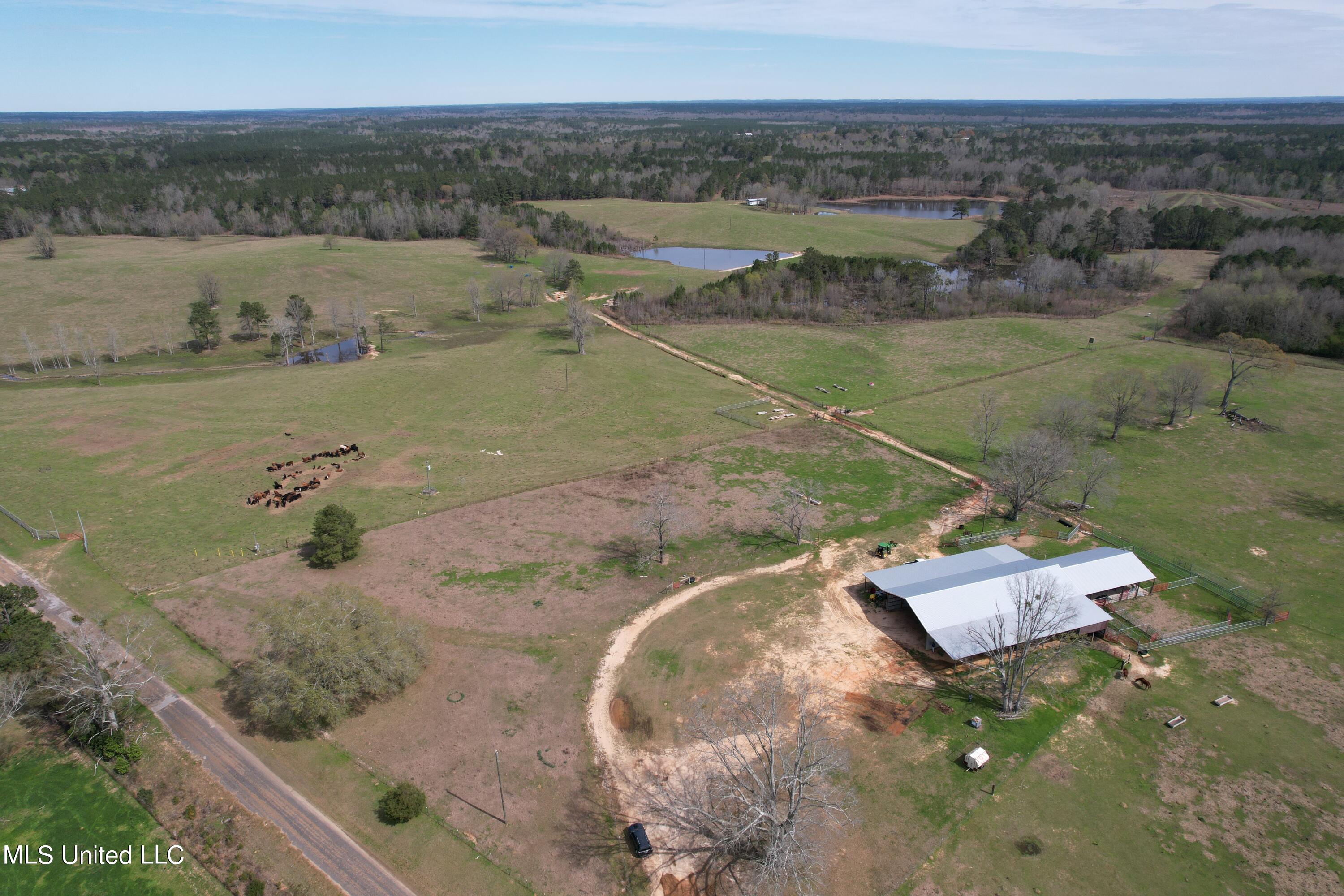 107 Co Rd 224 Property Photo 4