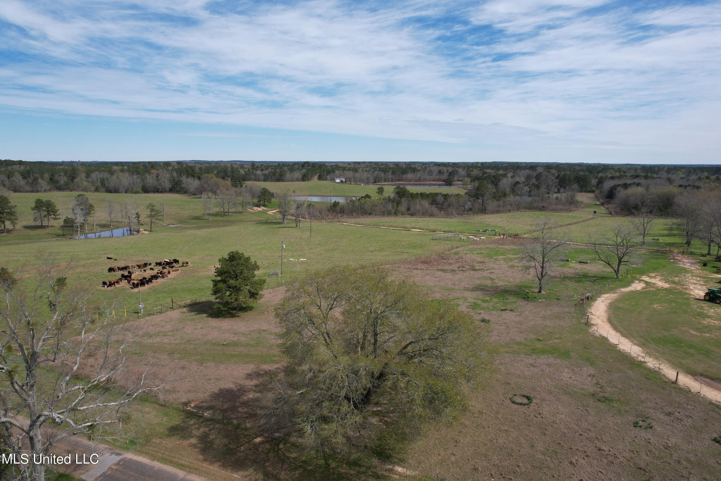 107 Co Rd 224 Property Photo 5