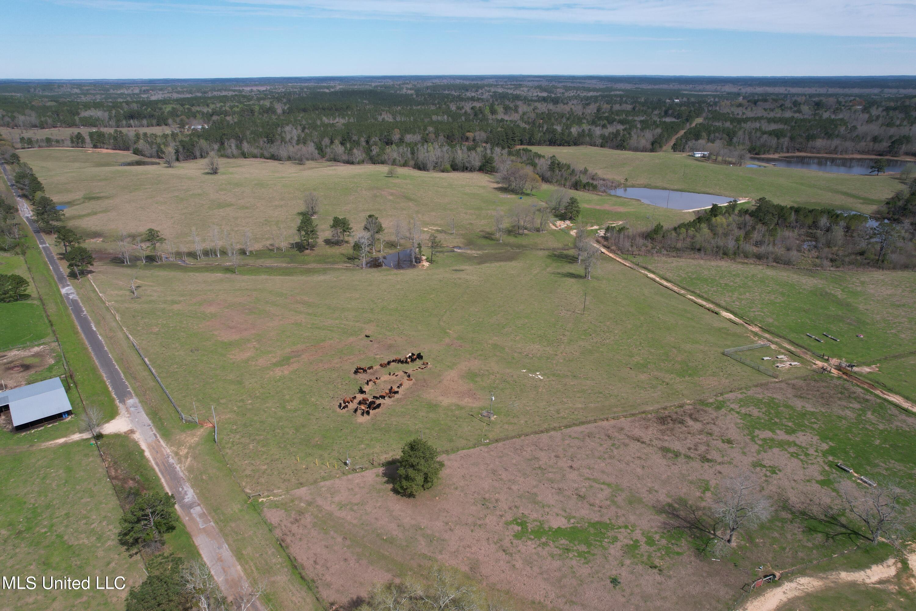 107 Co Rd 224 Property Photo 6