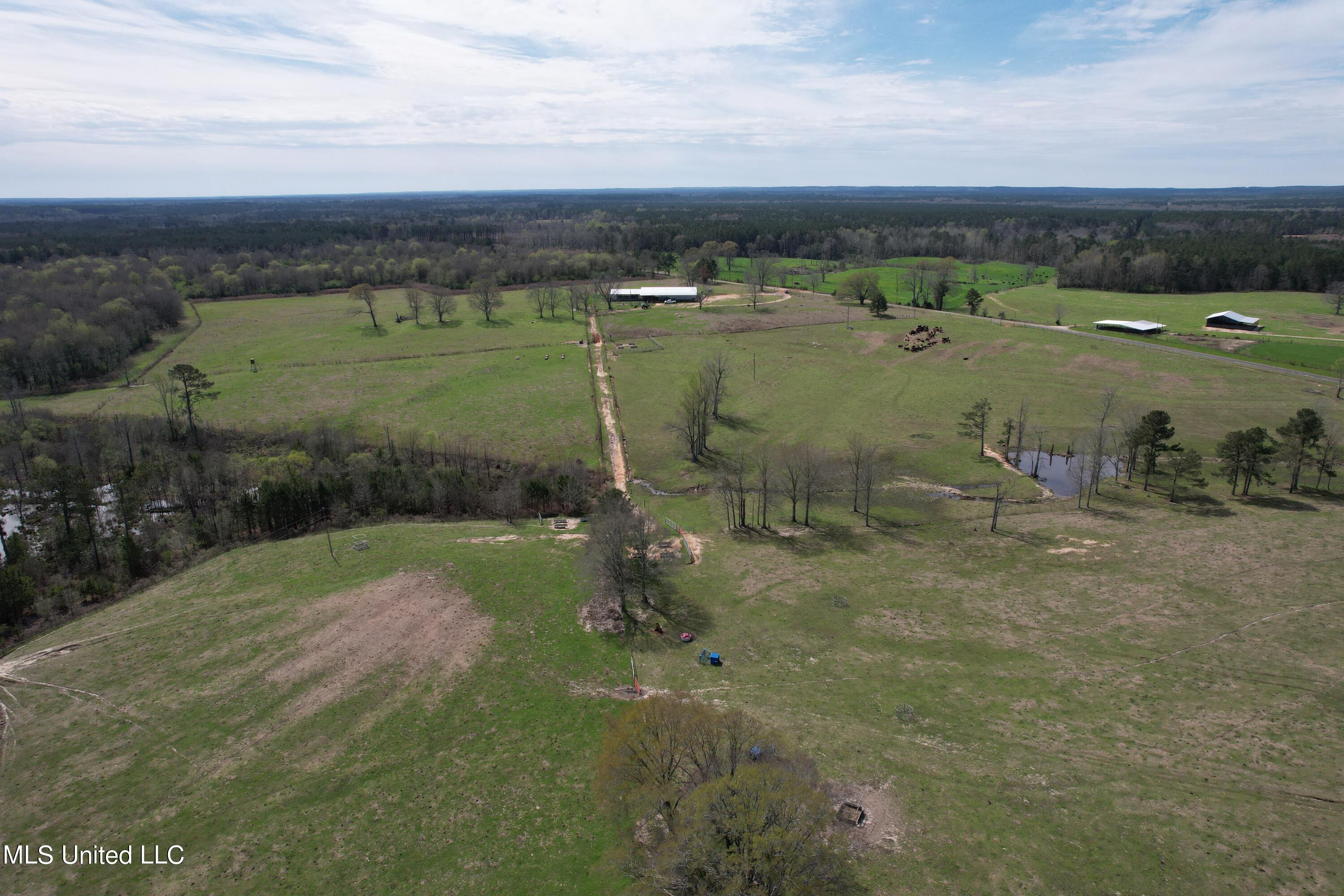 107 Co Rd 224 Property Photo 16