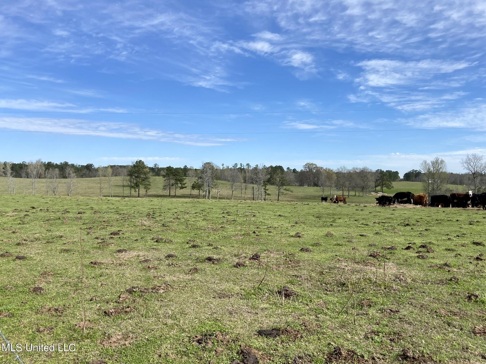107 Co Rd 224 Property Photo 17