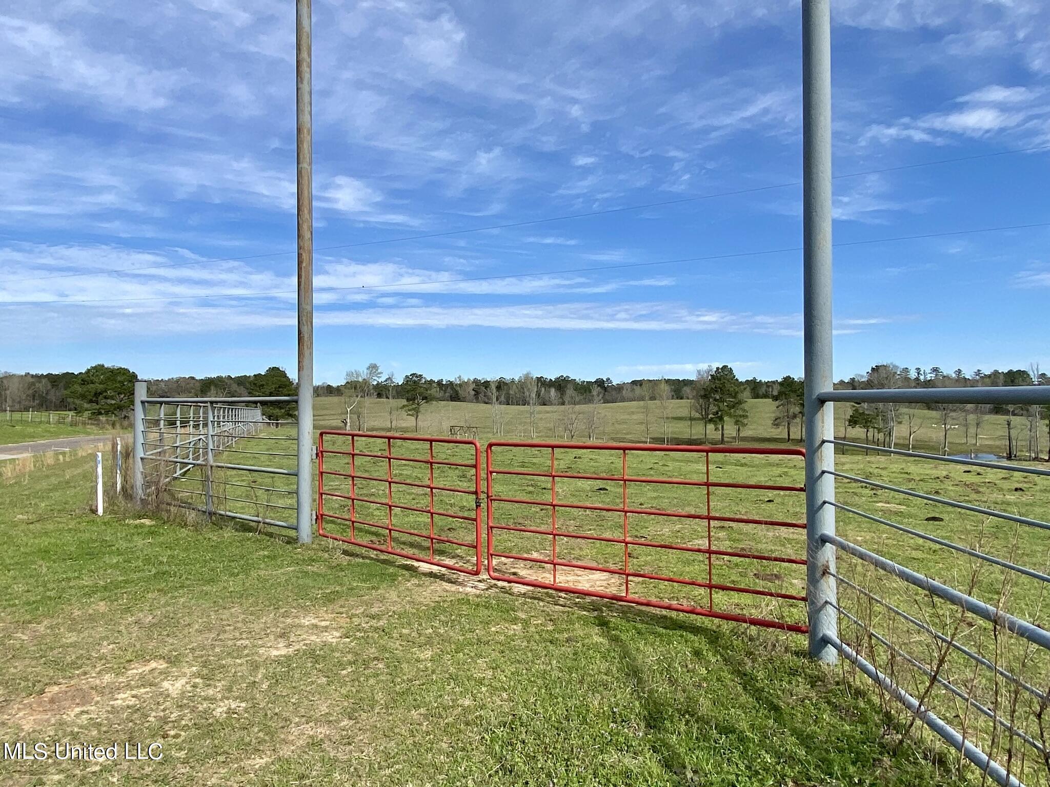 107 Co Rd 224 Property Photo 19