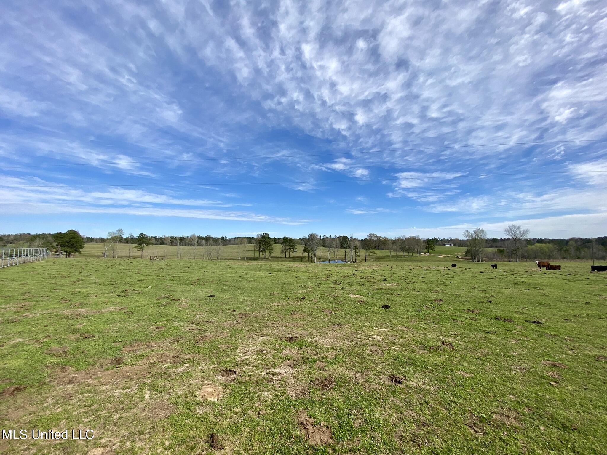 107 Co Rd 224 Property Photo 20