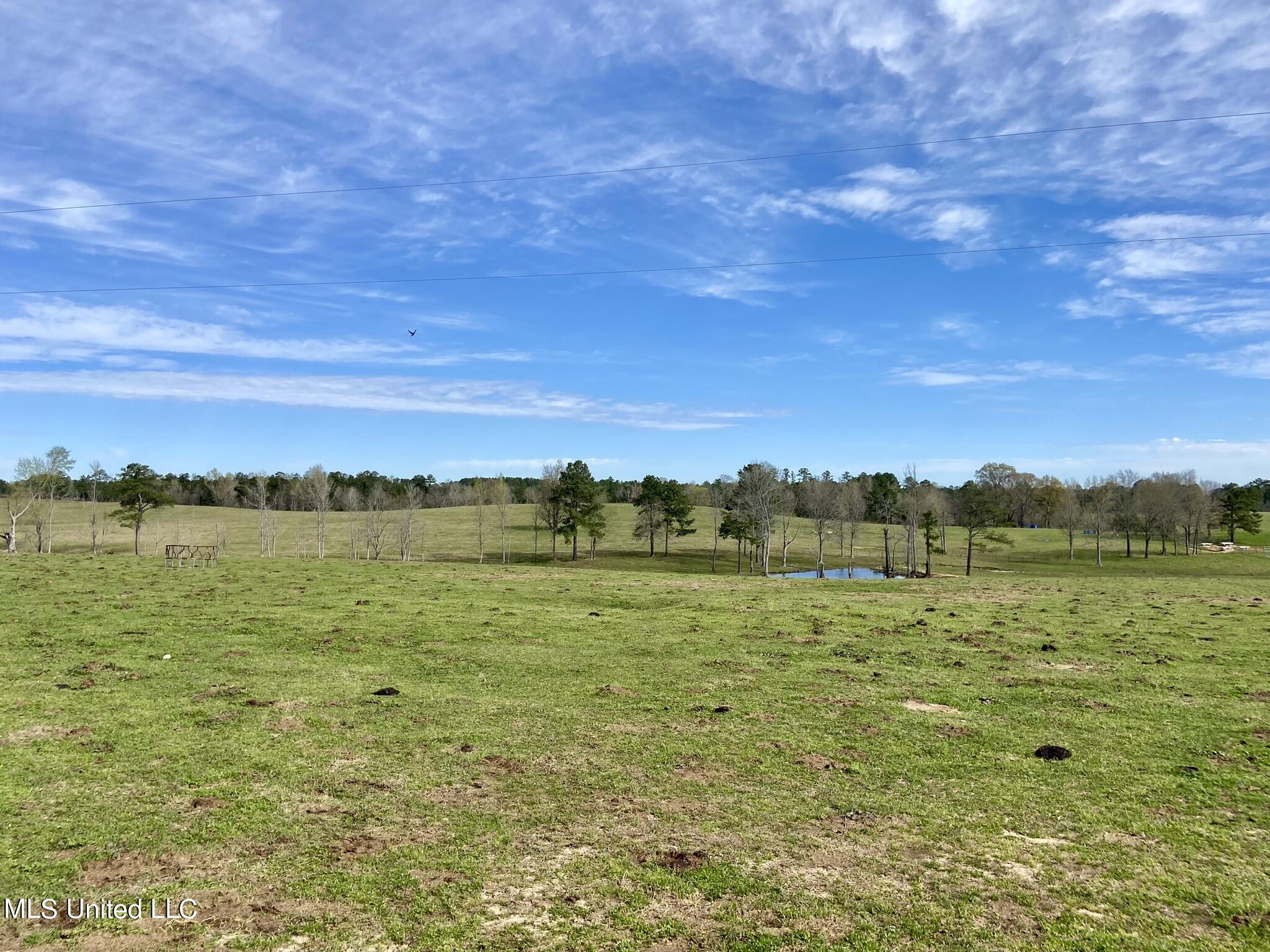 107 Co Rd 224 Property Photo 21