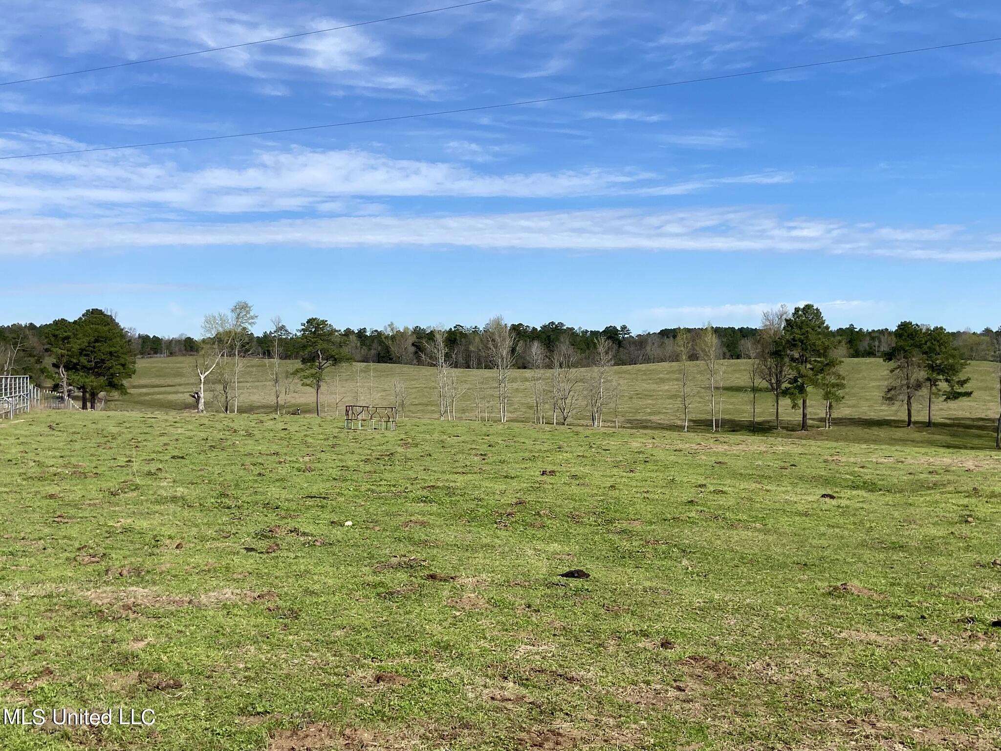 107 Co Rd 224 Property Photo 23