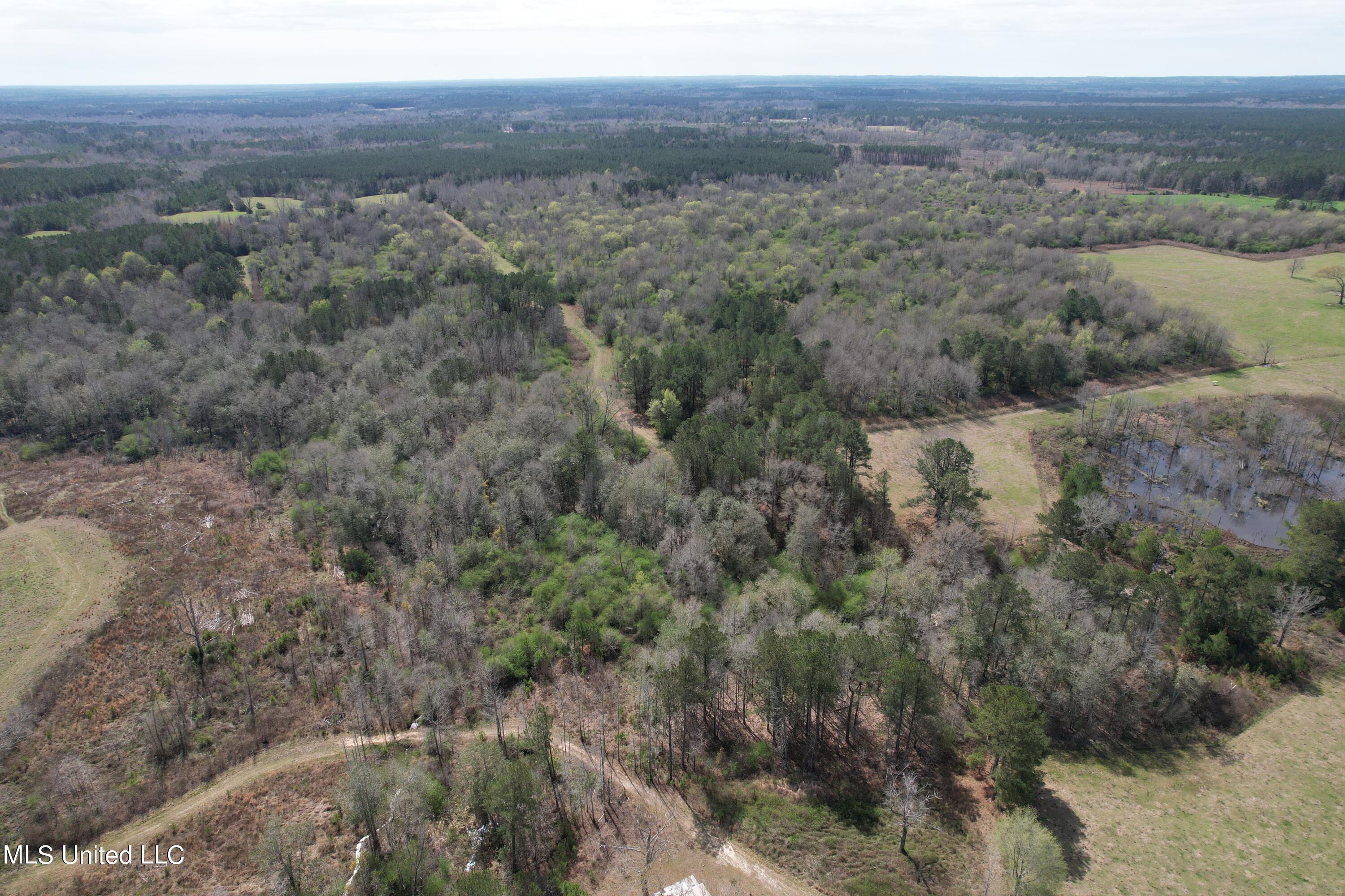 107 Co Rd 224 Property Photo 28