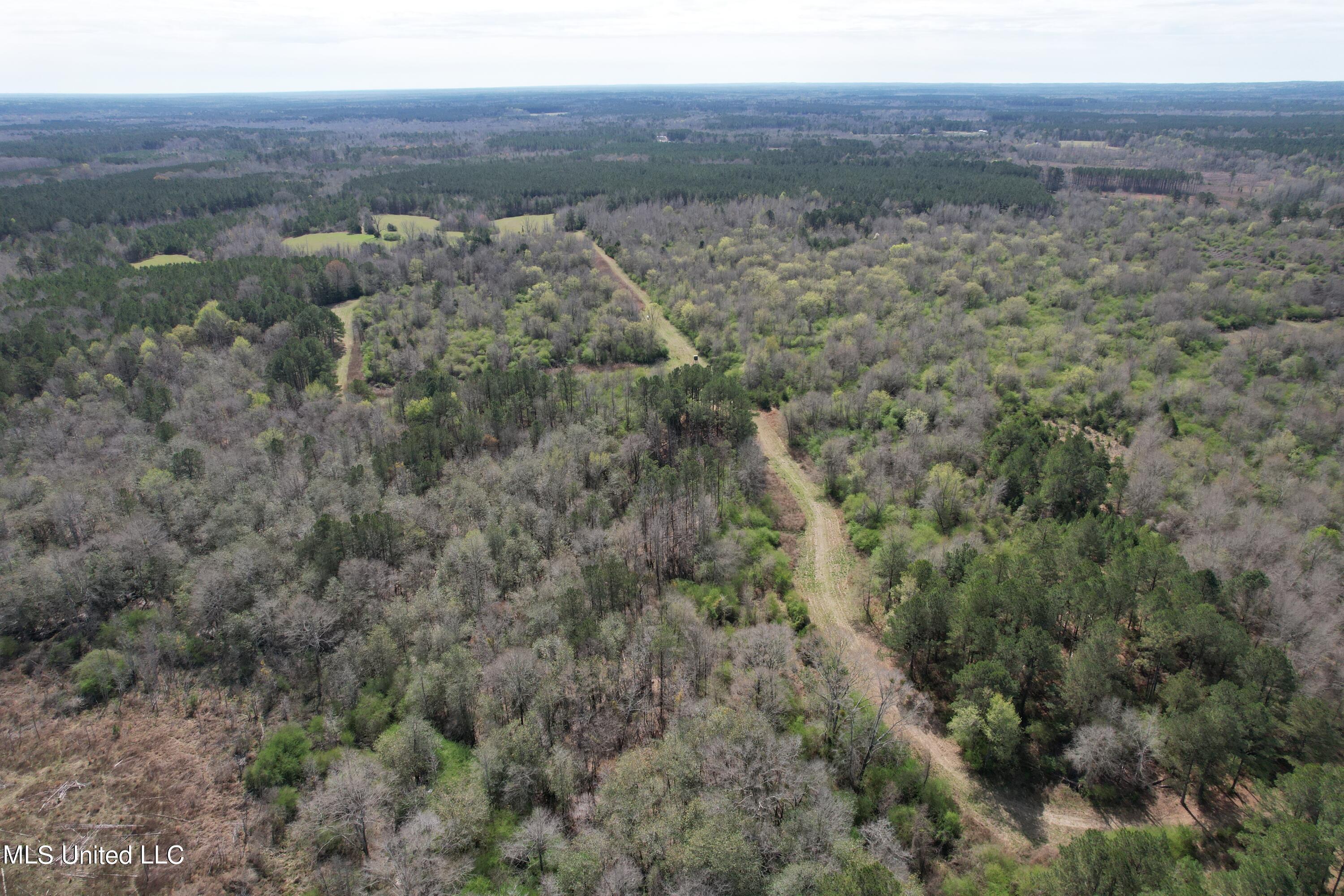 107 Co Rd 224 Property Photo 30