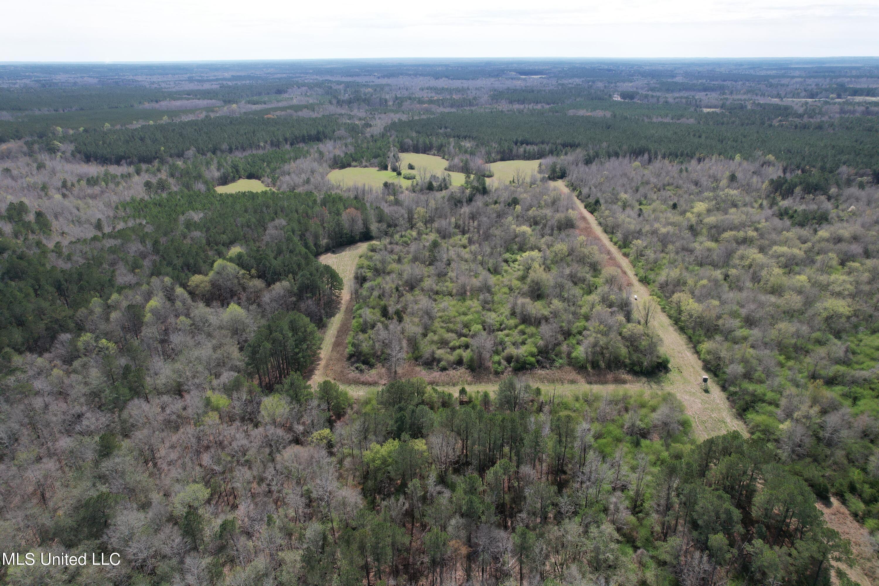 107 Co Rd 224 Property Photo 31