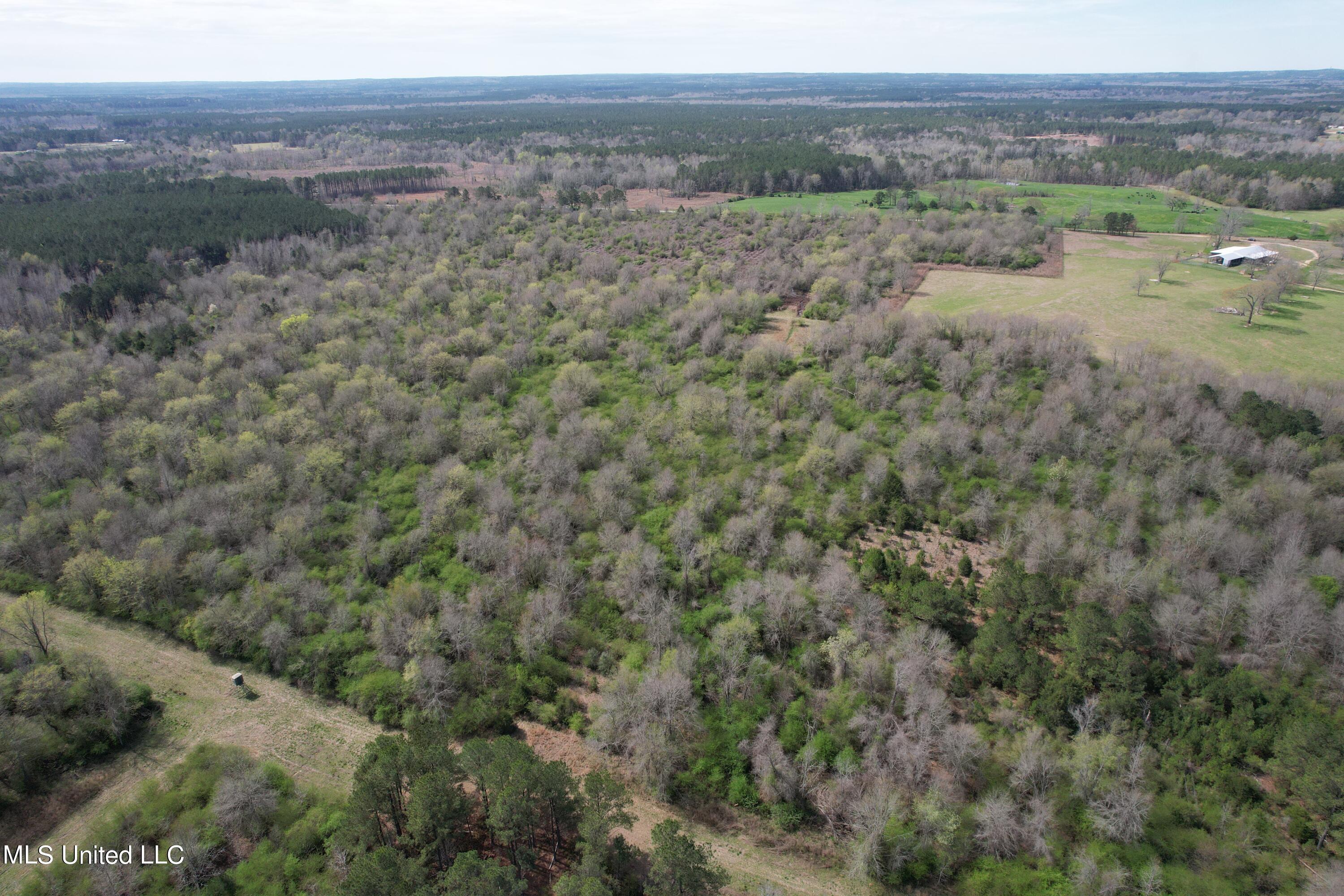 107 Co Rd 224 Property Photo 32