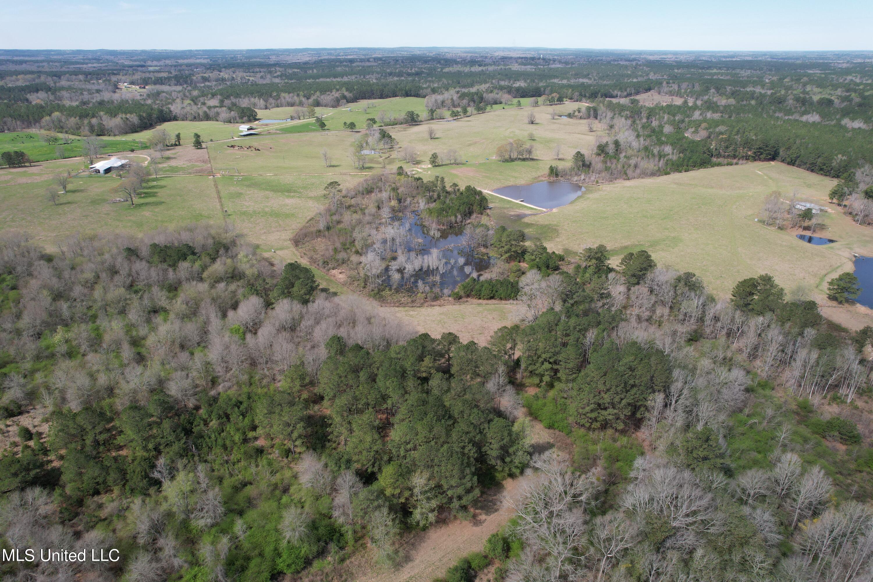 107 Co Rd 224 Property Photo 33