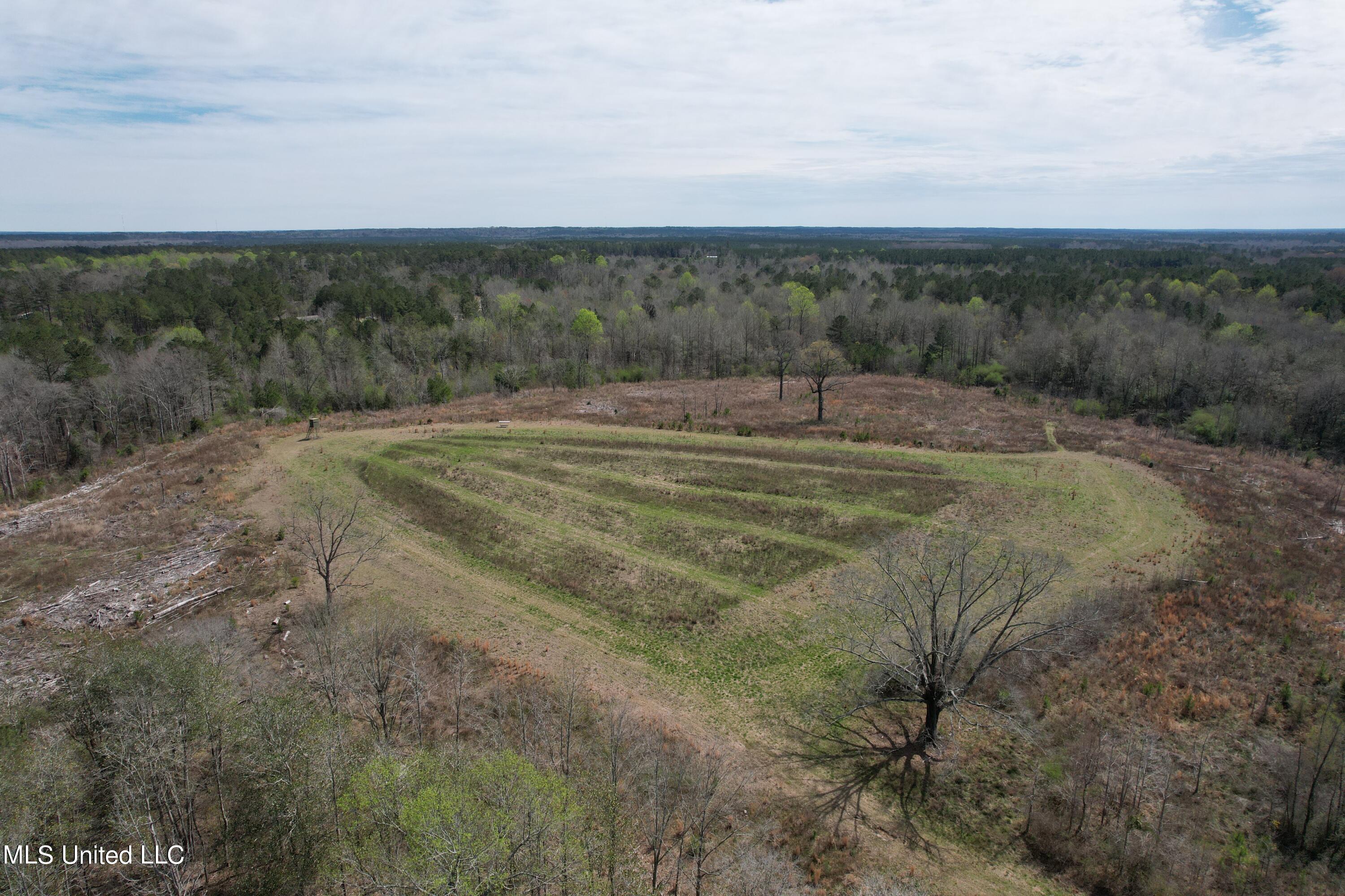 107 Co Rd 224 Property Photo 38