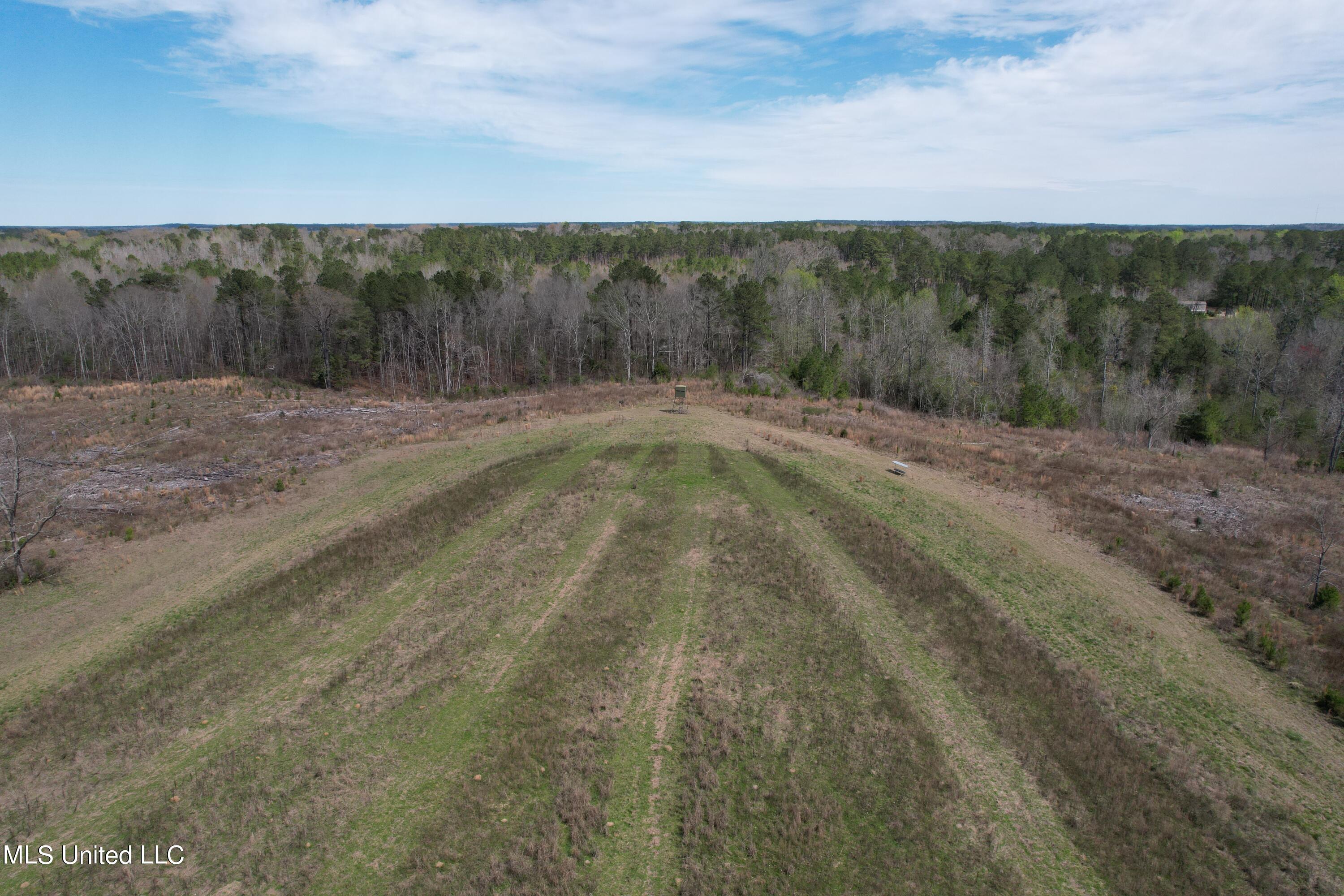 107 Co Rd 224 Property Photo 39