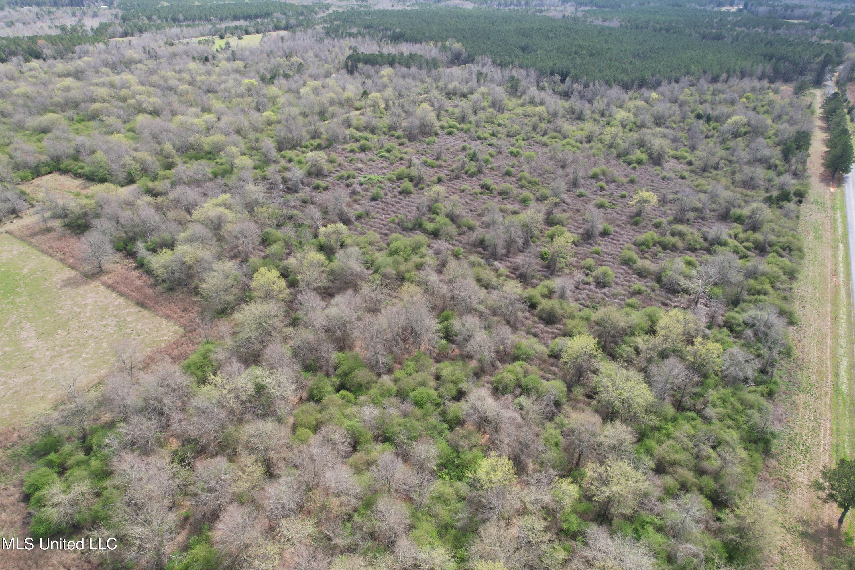107 Co Rd 224 Property Photo 41