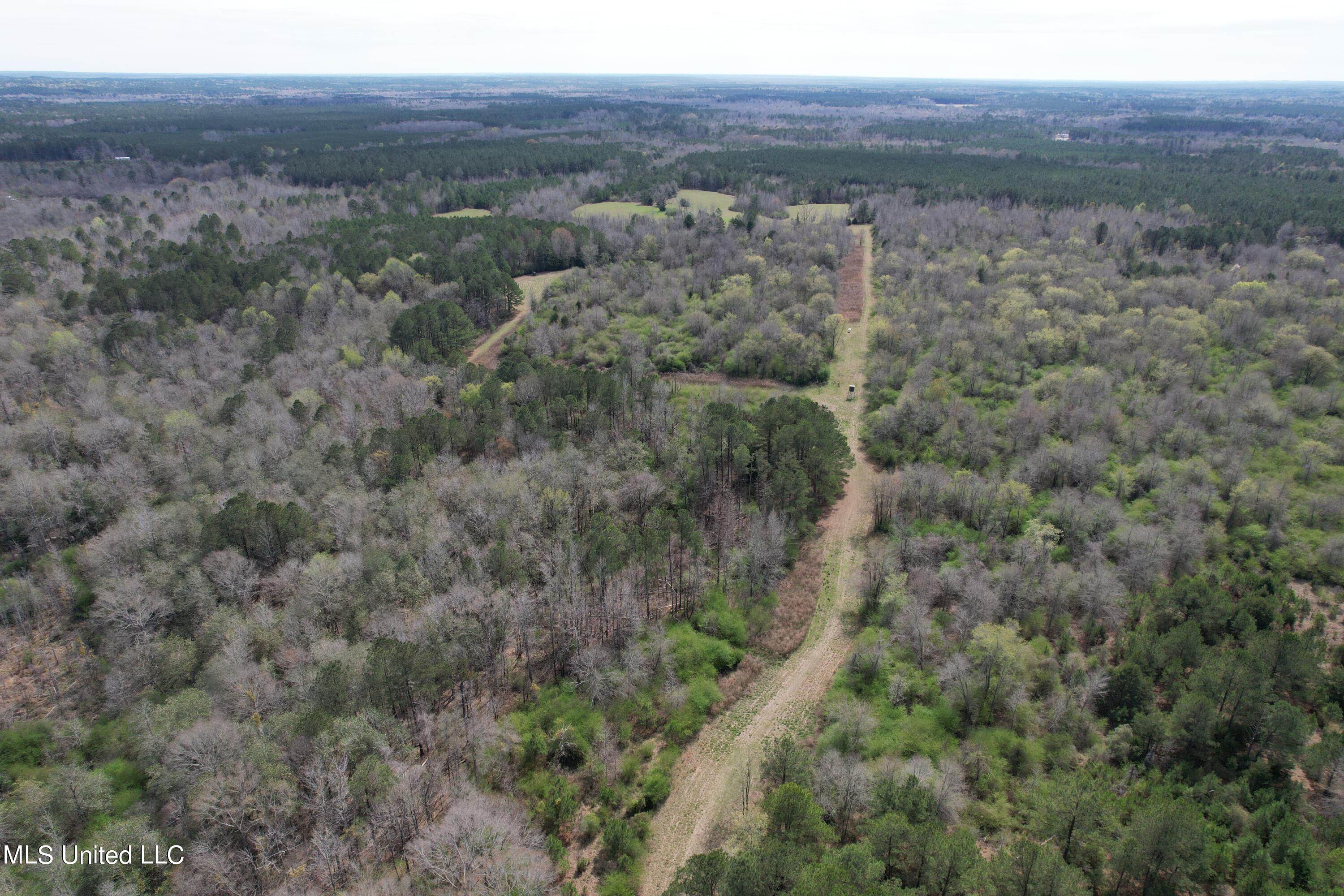 107 Co Rd 224 Property Photo 42