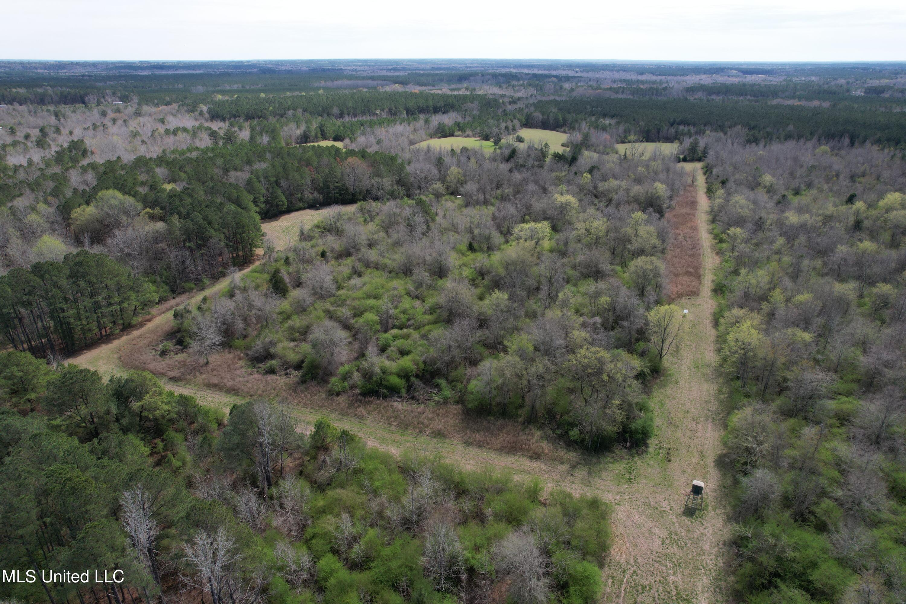 107 Co Rd 224 Property Photo 43
