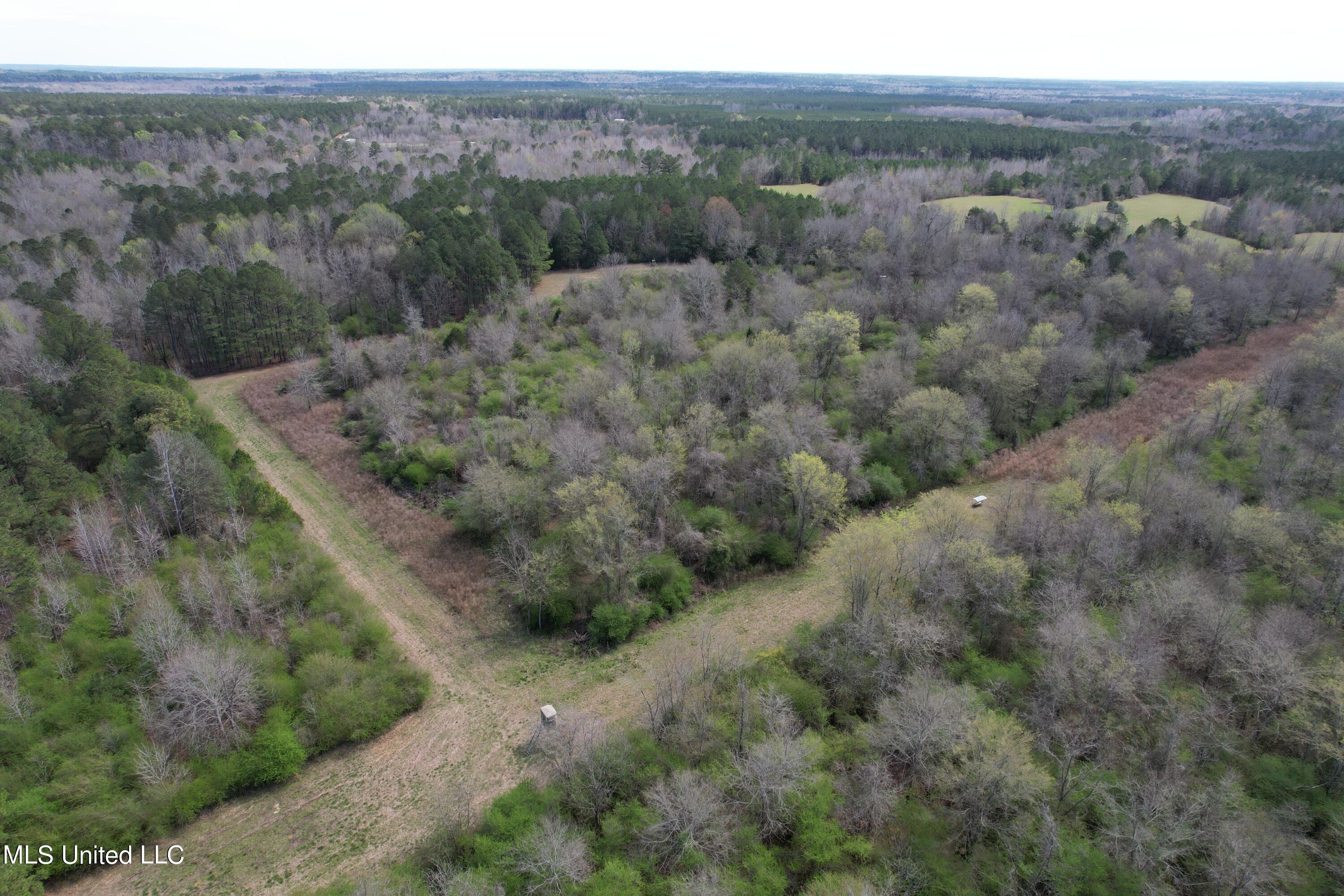107 Co Rd 224 Property Photo 44