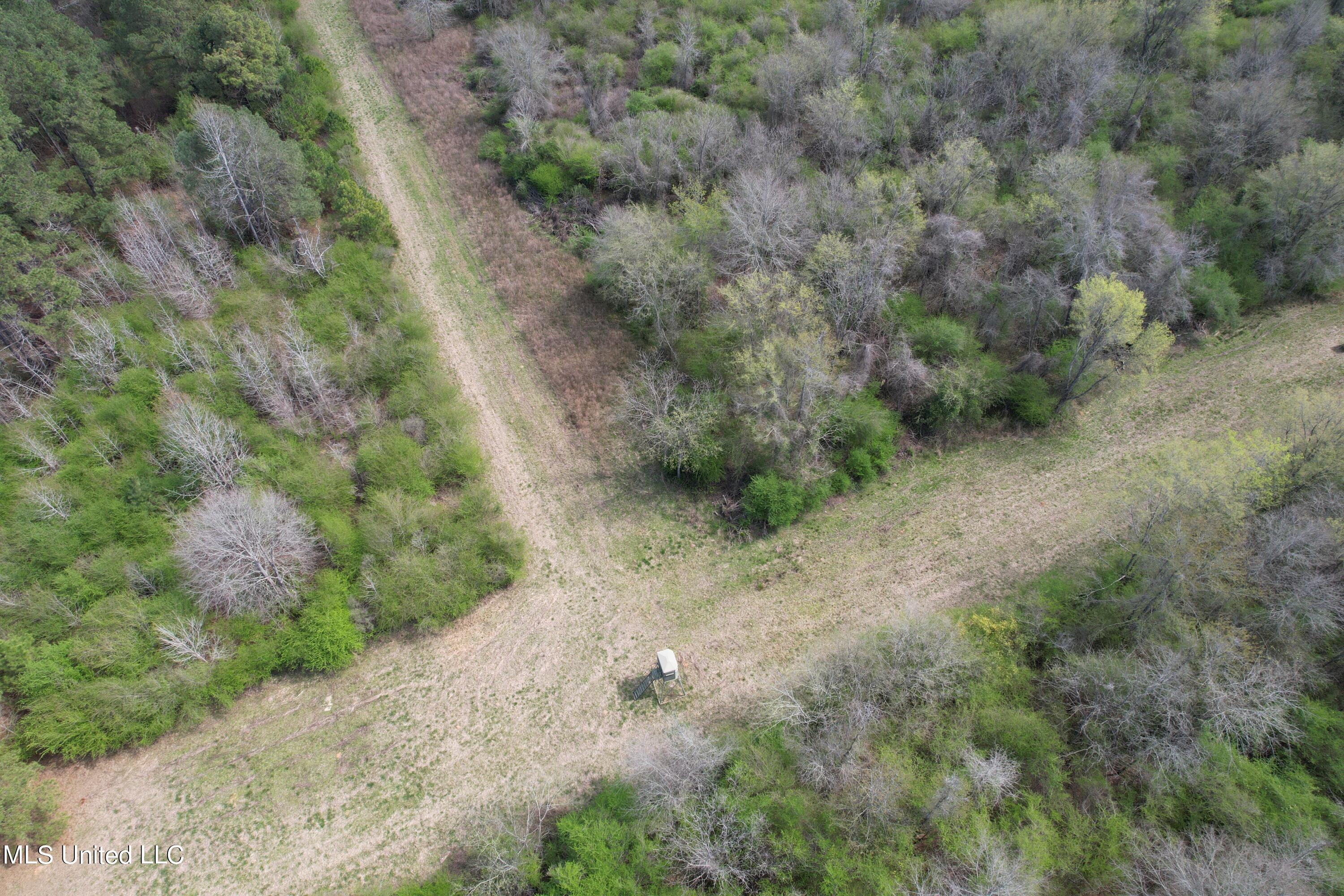 107 Co Rd 224 Property Photo 45