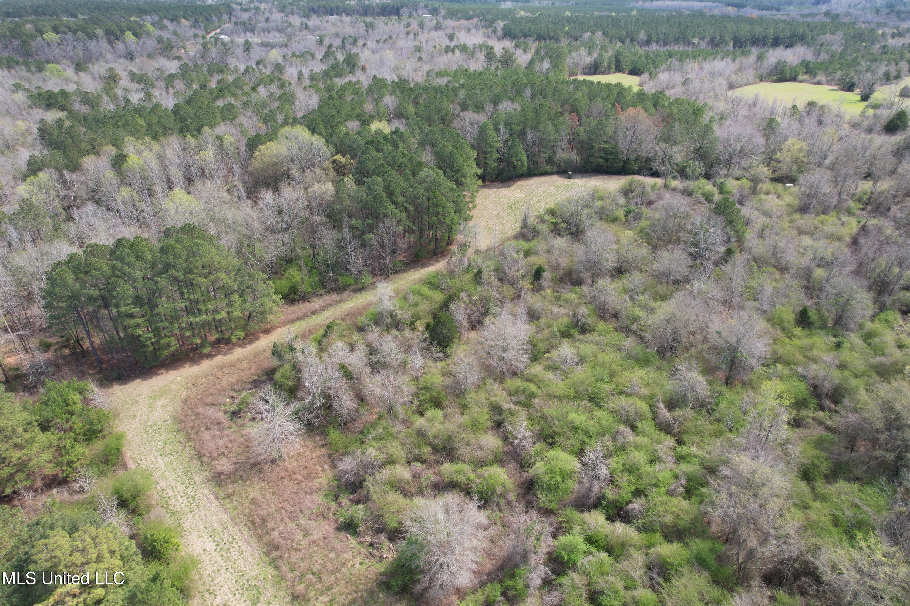 107 Co Rd 224 Property Photo 46