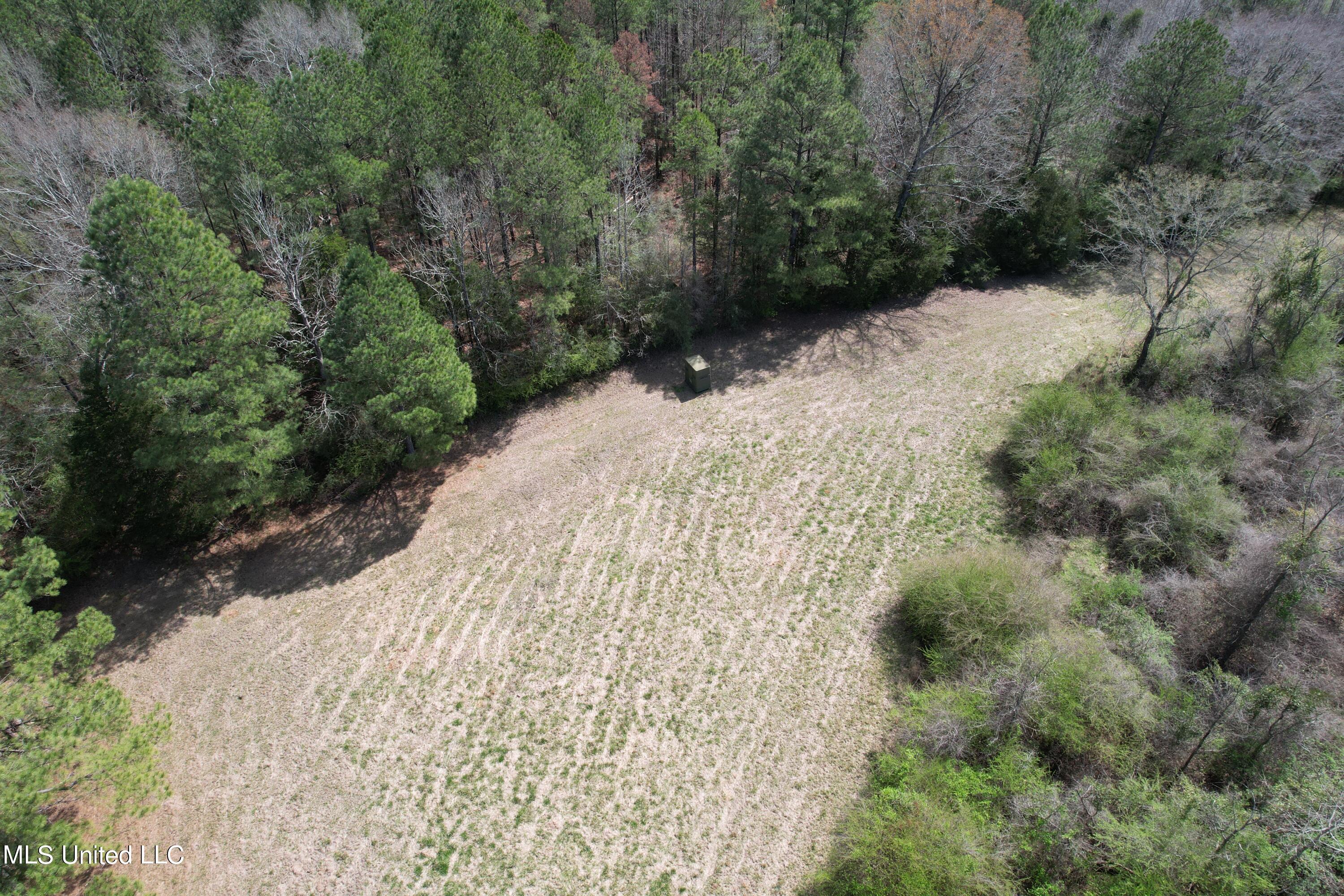 107 Co Rd 224 Property Photo 47