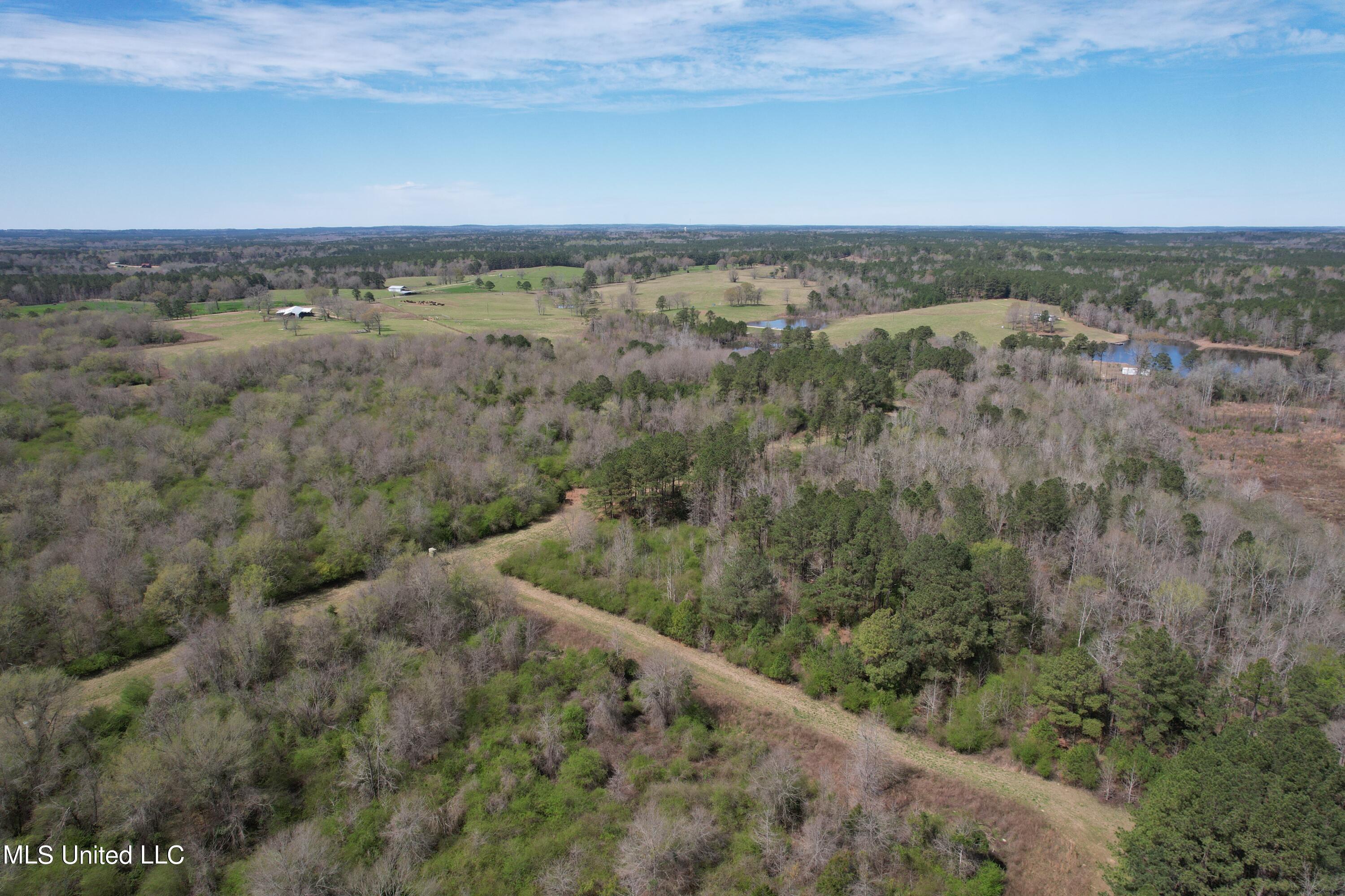 107 Co Rd 224 Property Photo 48
