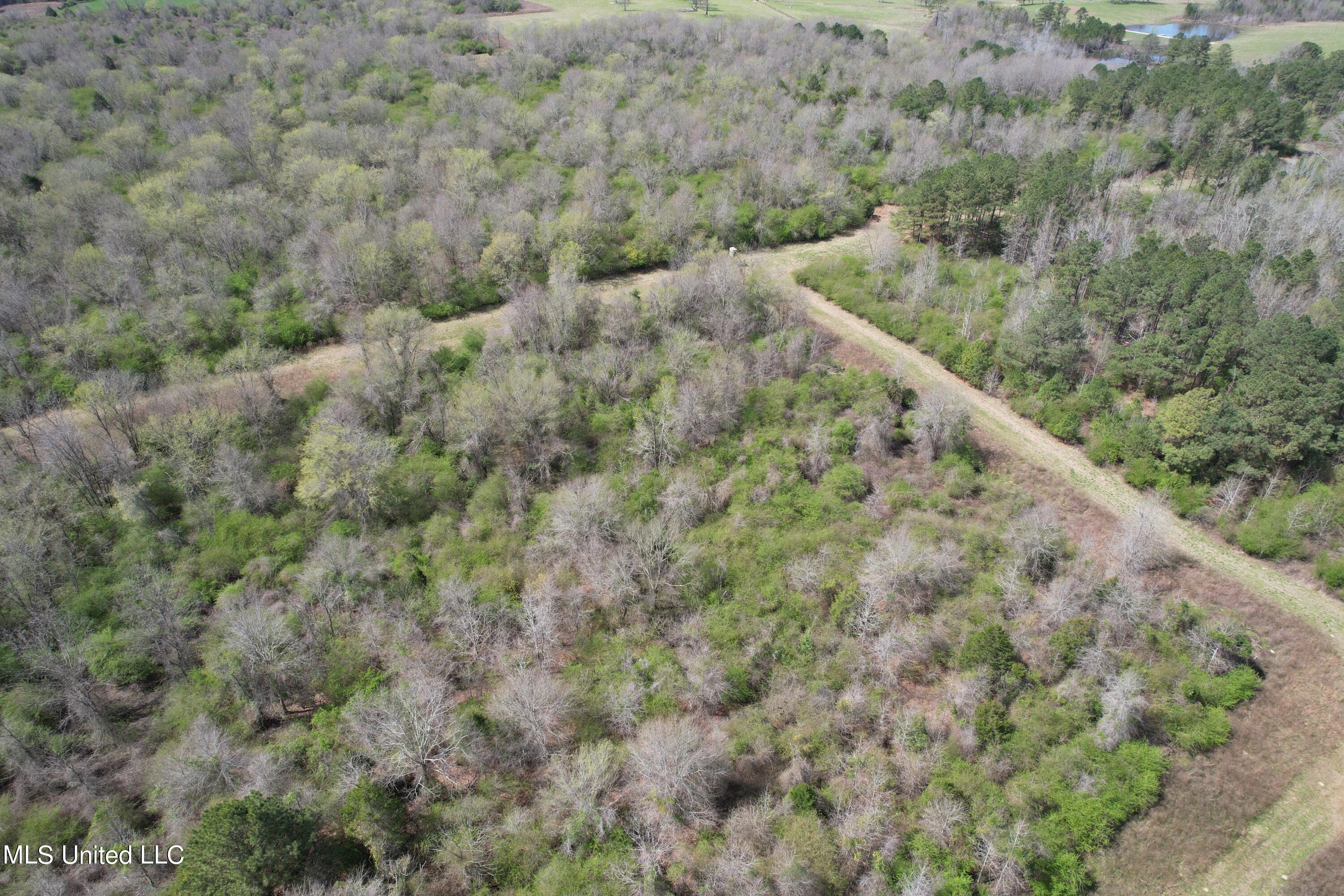 107 Co Rd 224 Property Photo 49