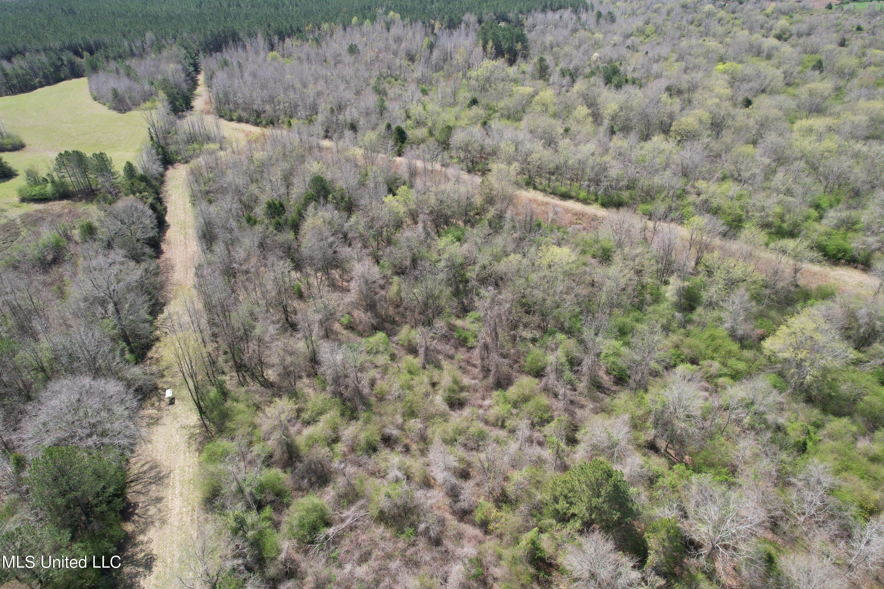 107 Co Rd 224 Property Photo 50