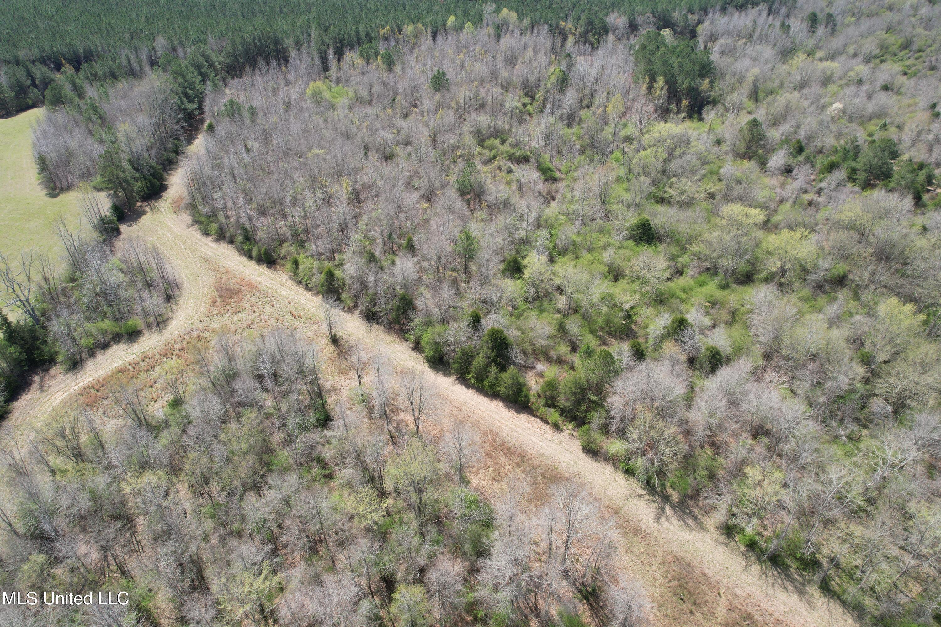 107 Co Rd 224 Property Photo 51