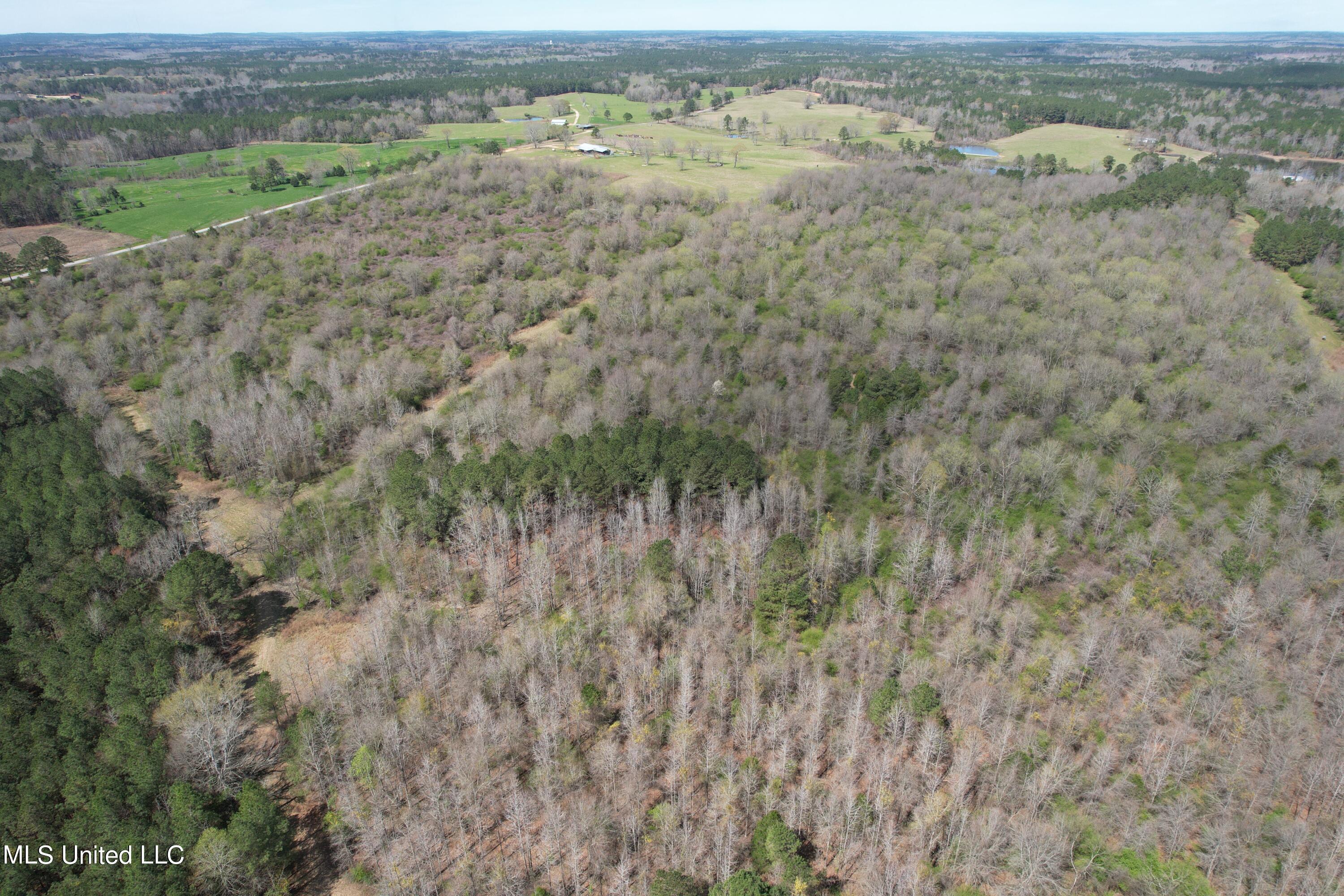 107 Co Rd 224 Property Photo 52