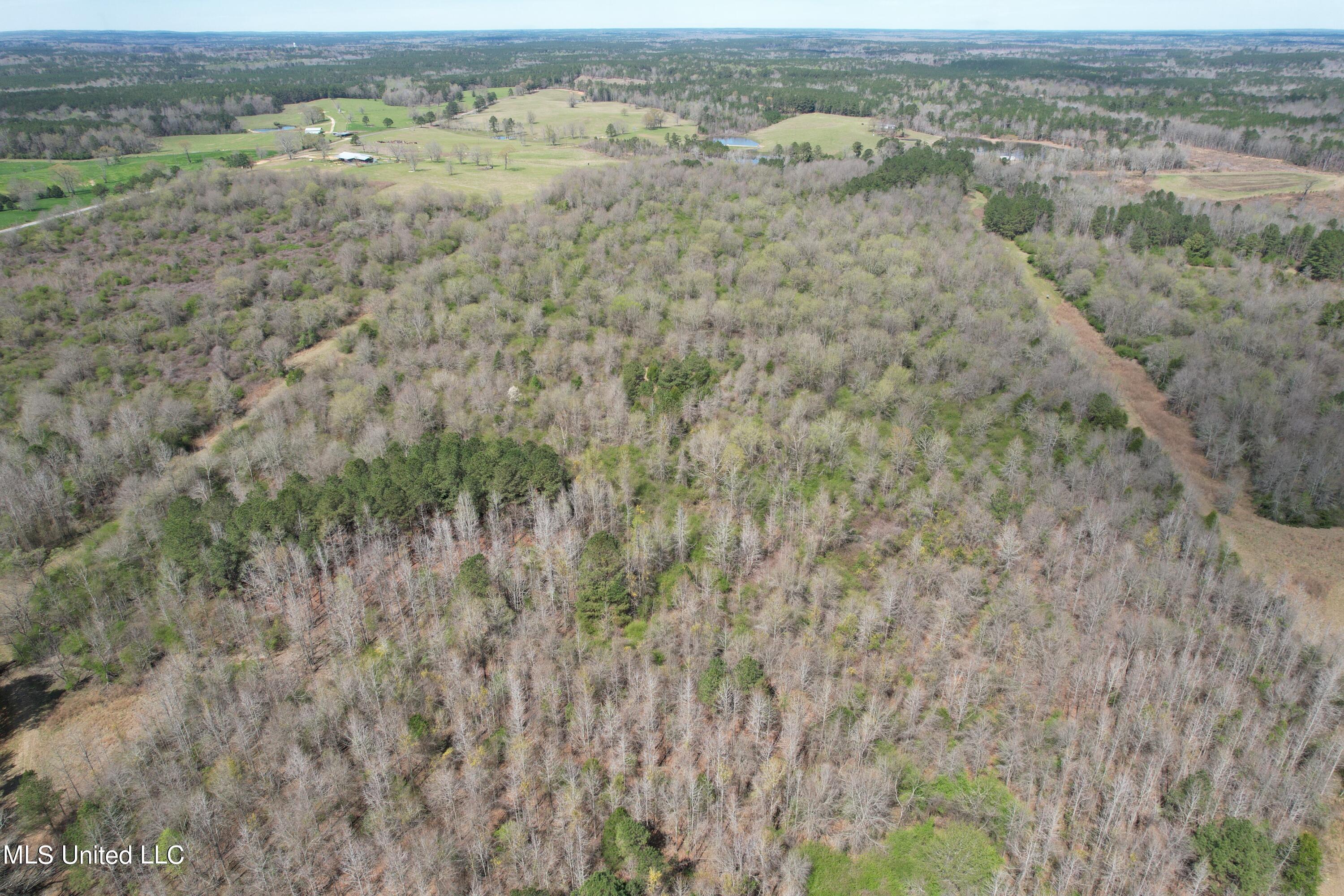 107 Co Rd 224 Property Photo 53