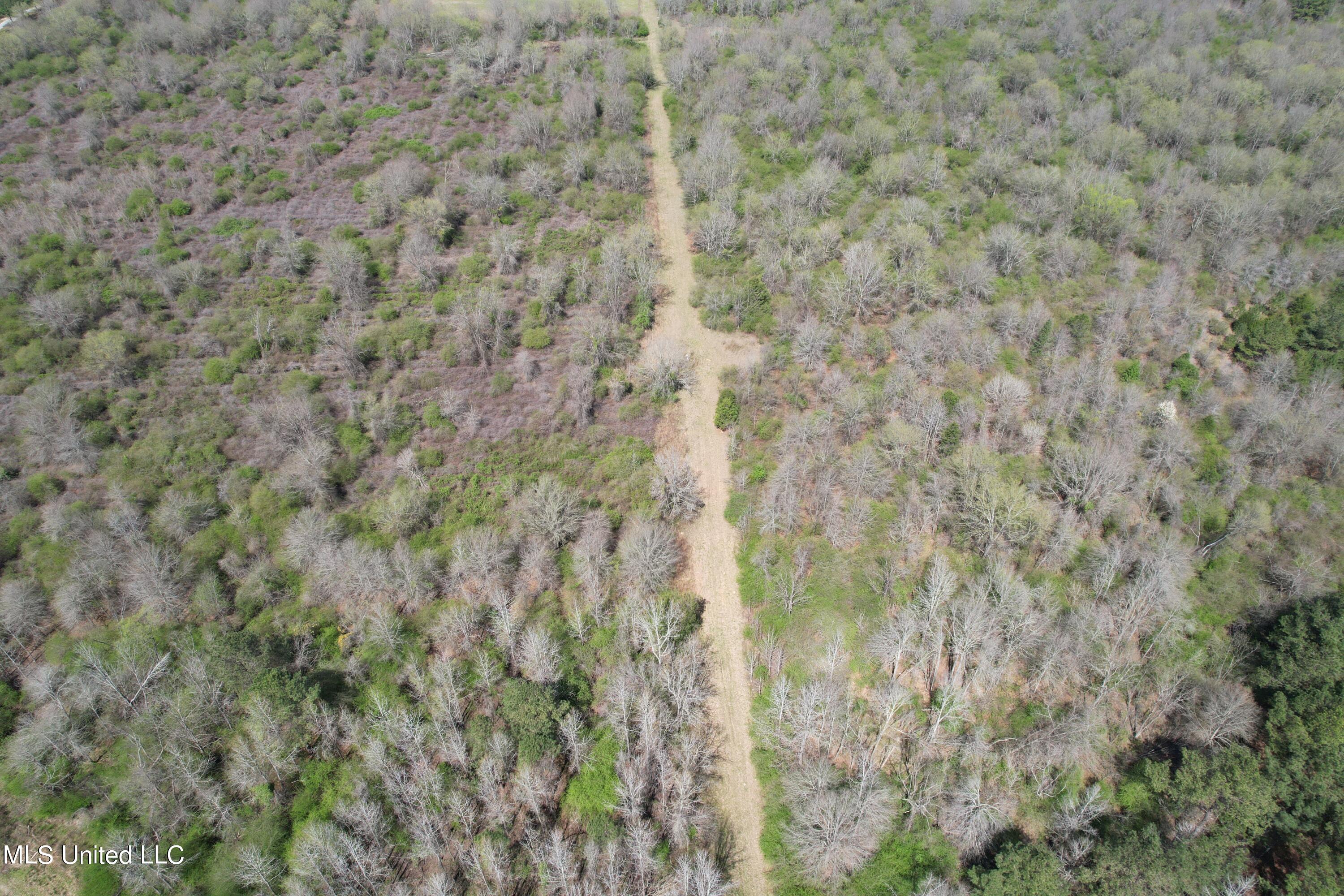 107 Co Rd 224 Property Photo 55