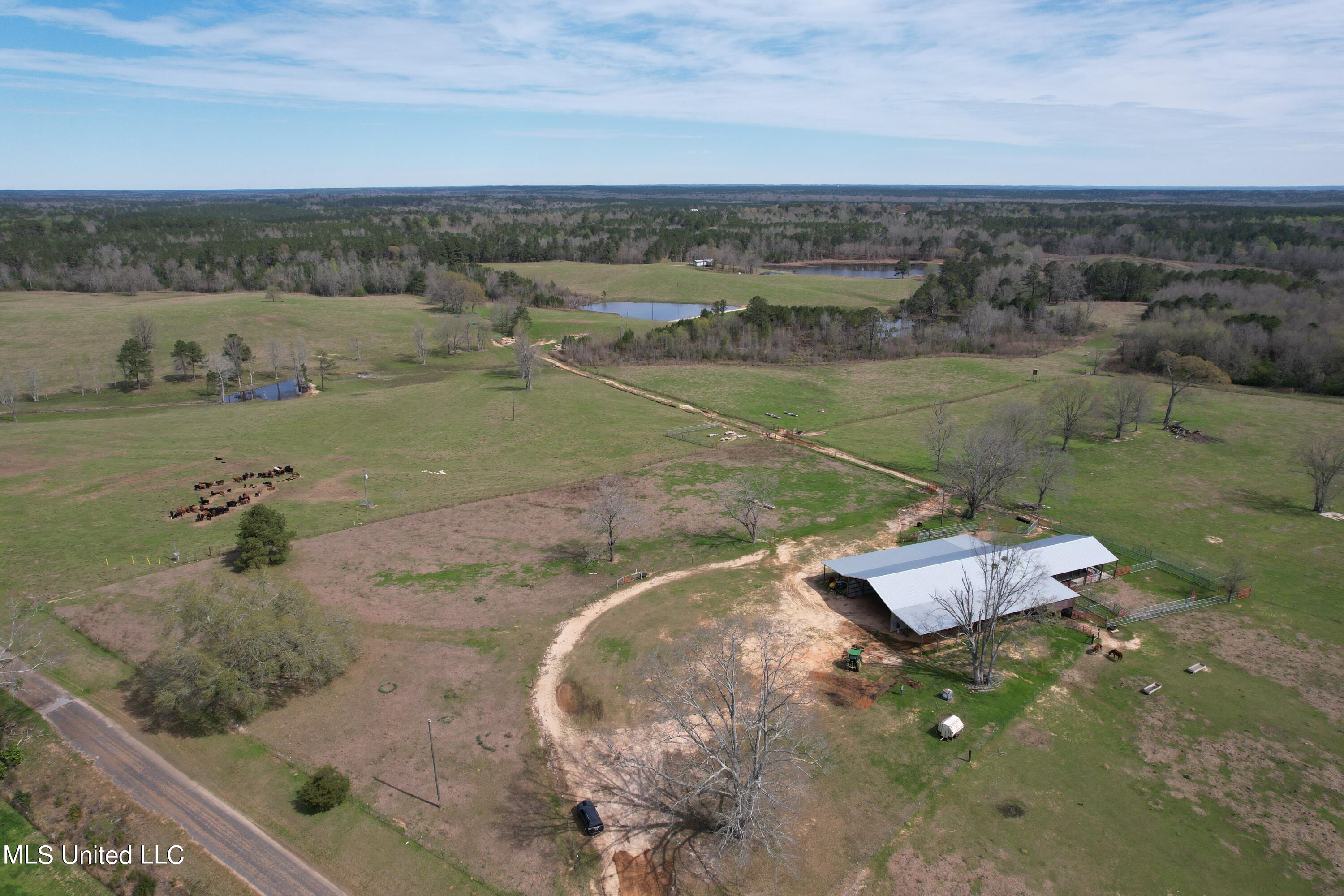 107 Co Rd 224 Property Photo 80