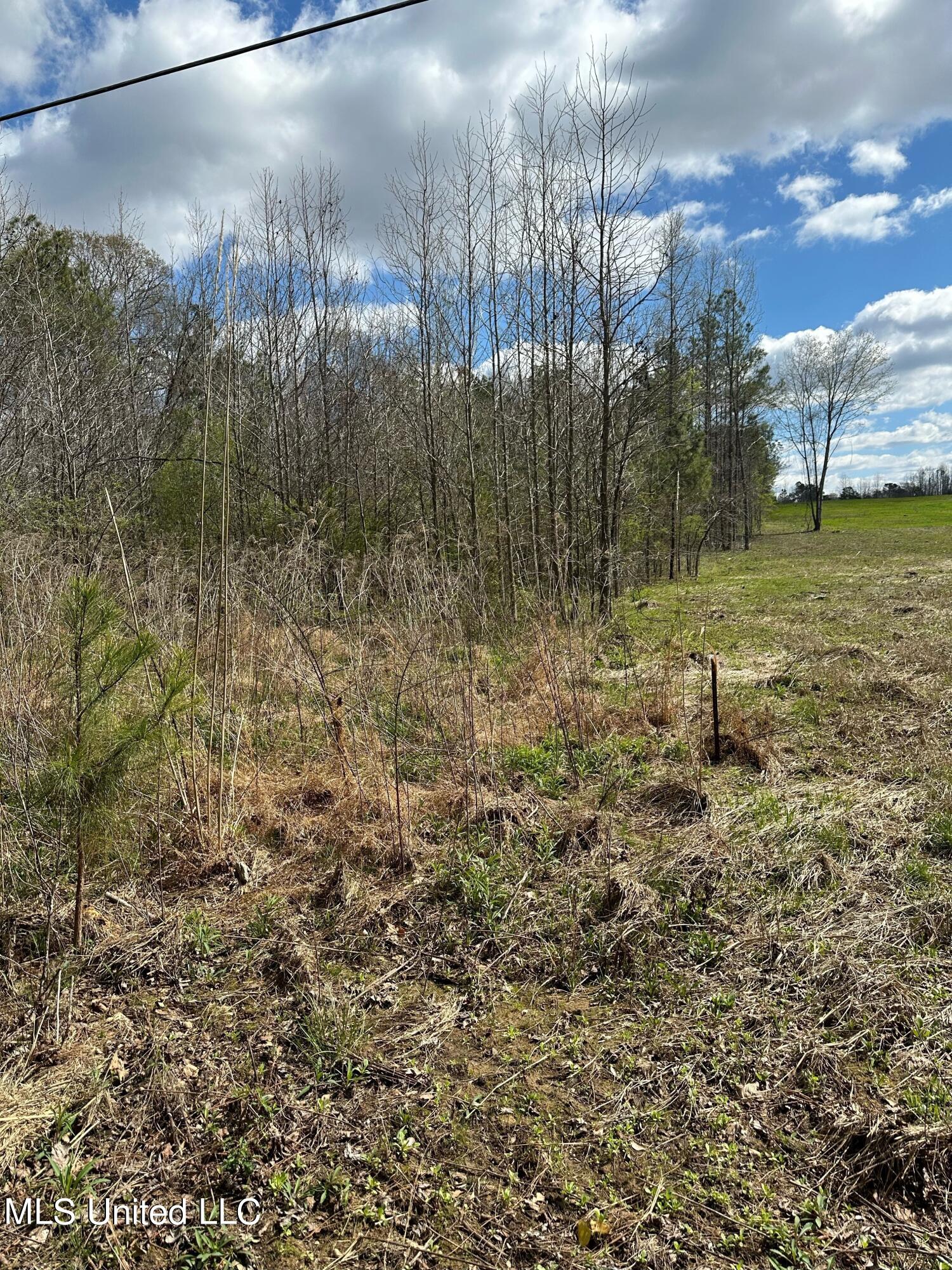 5808 S Highway 51 Property Photo 1