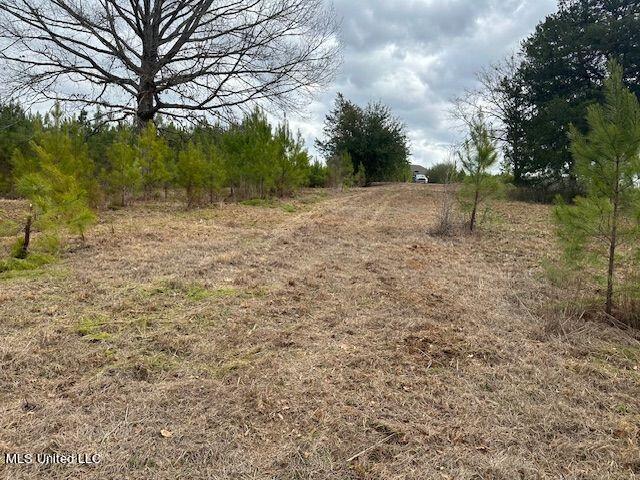 132 Church Lane Property Photo 6
