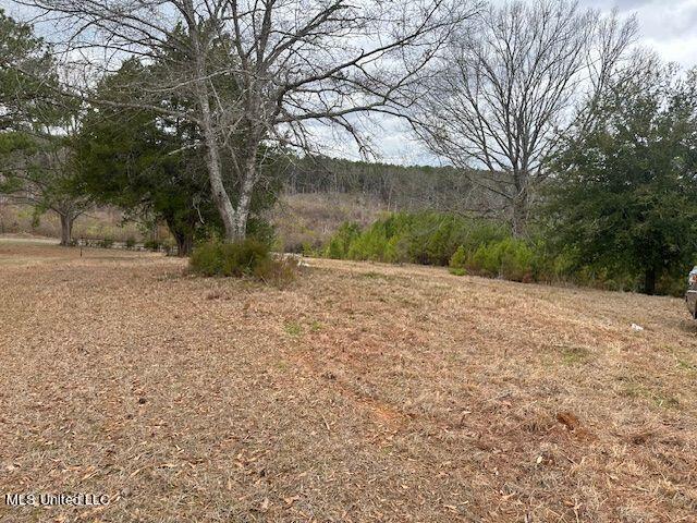132 Church Lane Property Photo 7