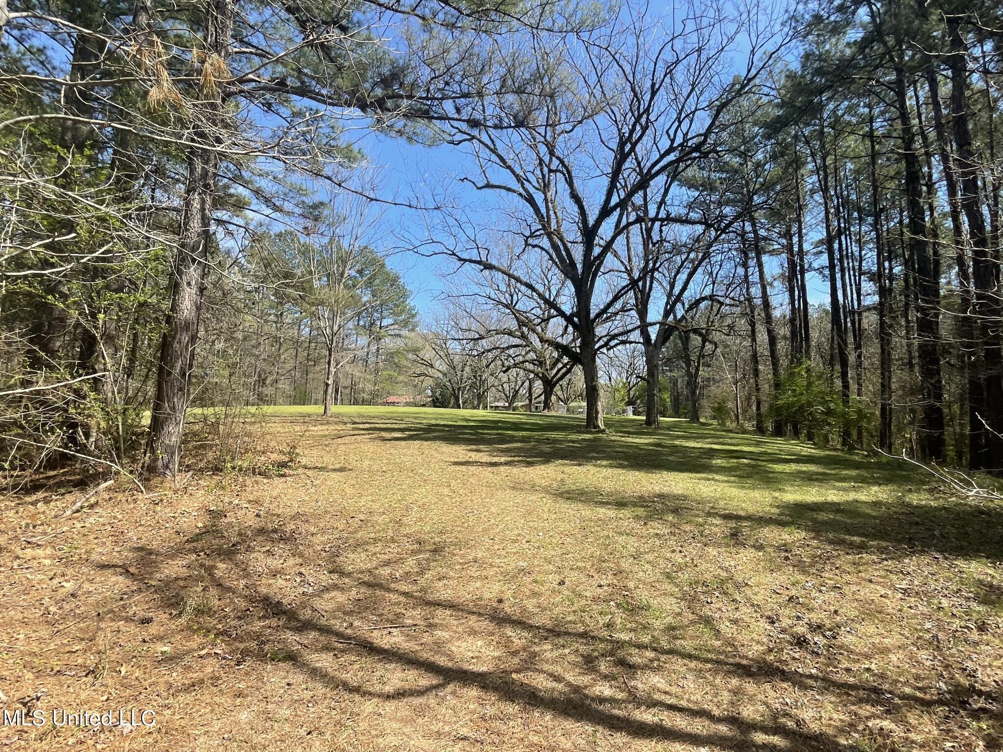 13137 Old Port Gibson Road Property Photo 24