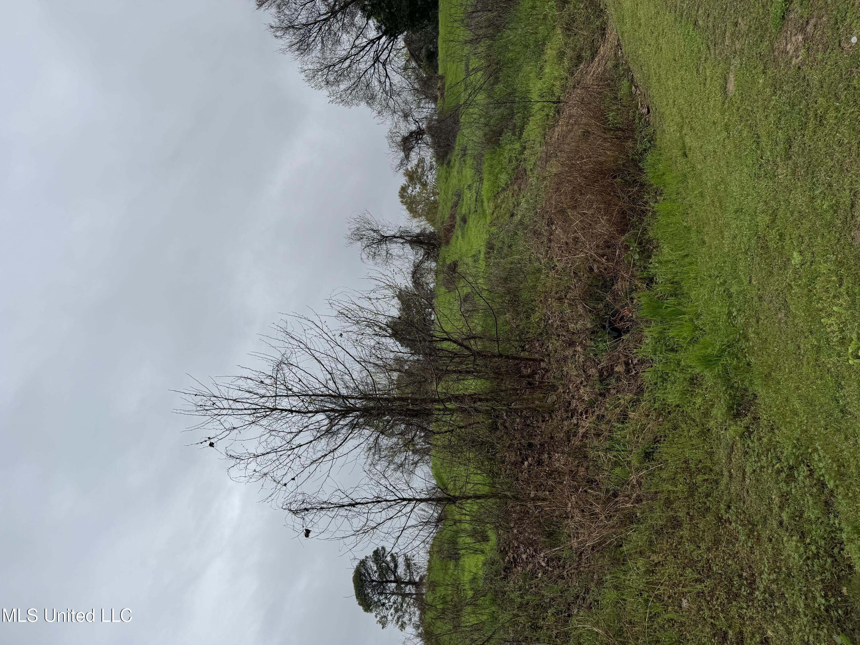 Pierce Street Property Photo 1