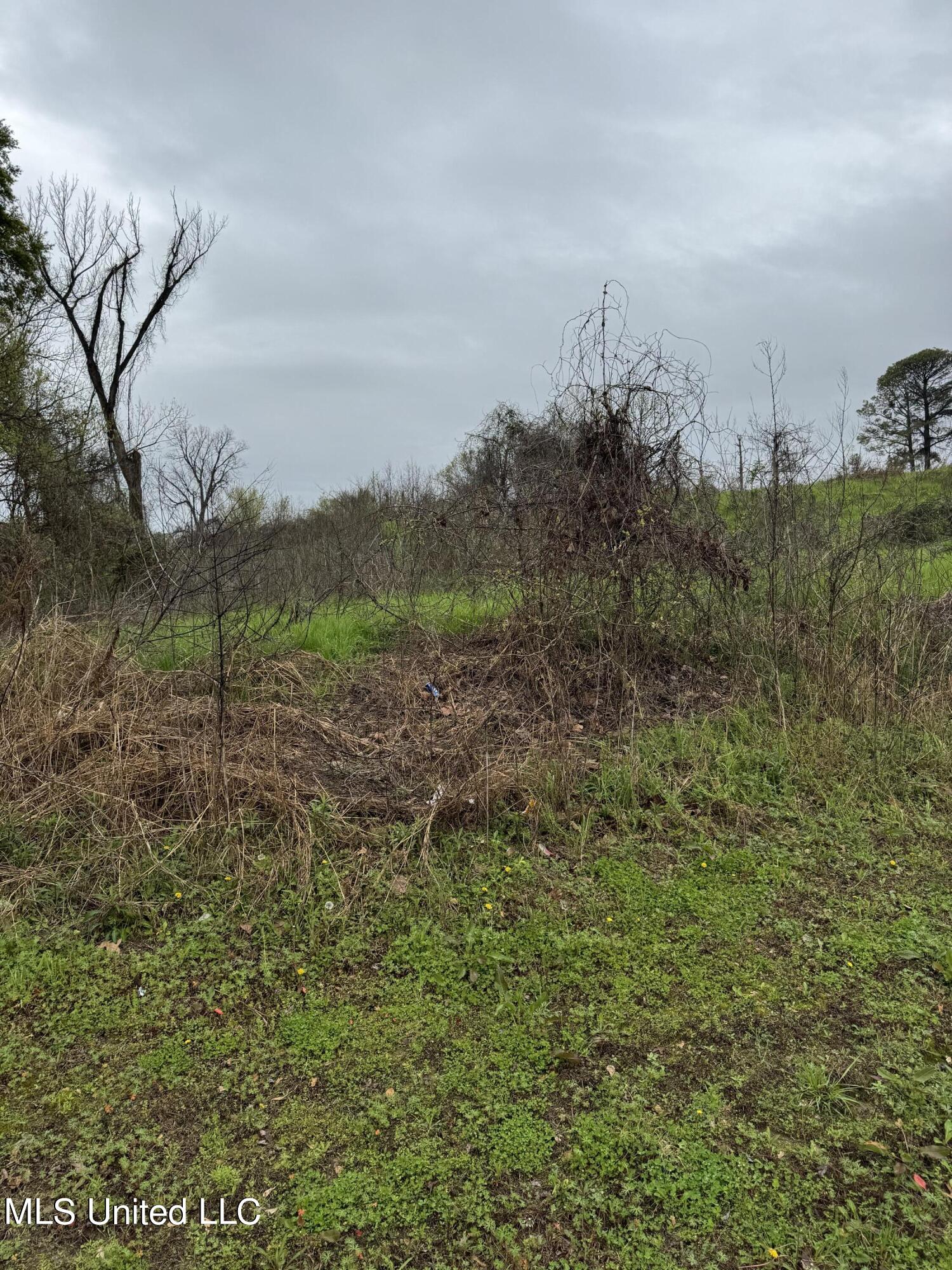 Pierce Street Property Photo 4