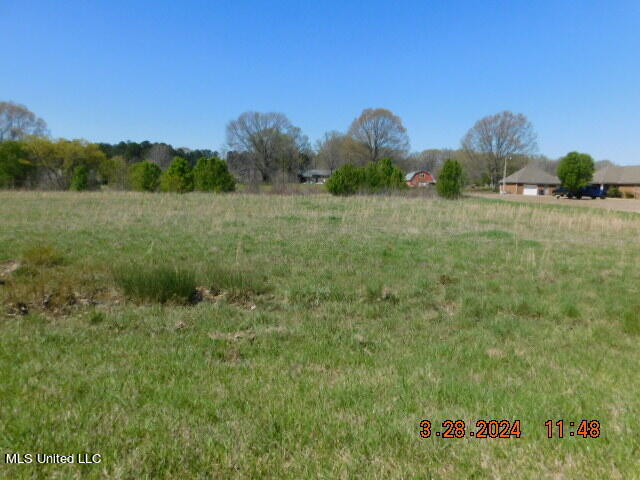 4641 Grazeland Drive Property Photo 1