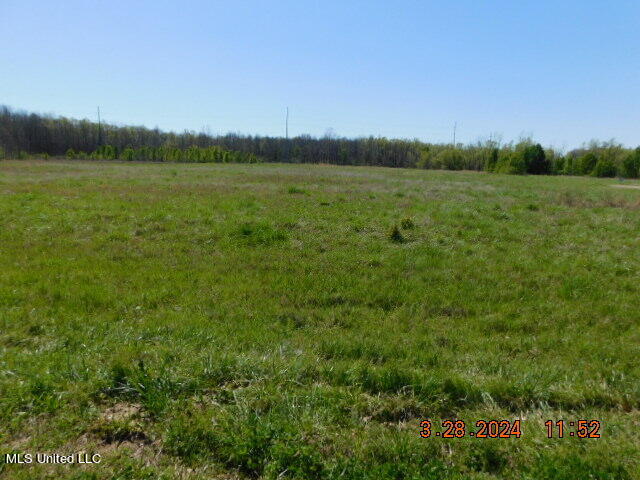 14243 Stockade Drive Property Photo 1