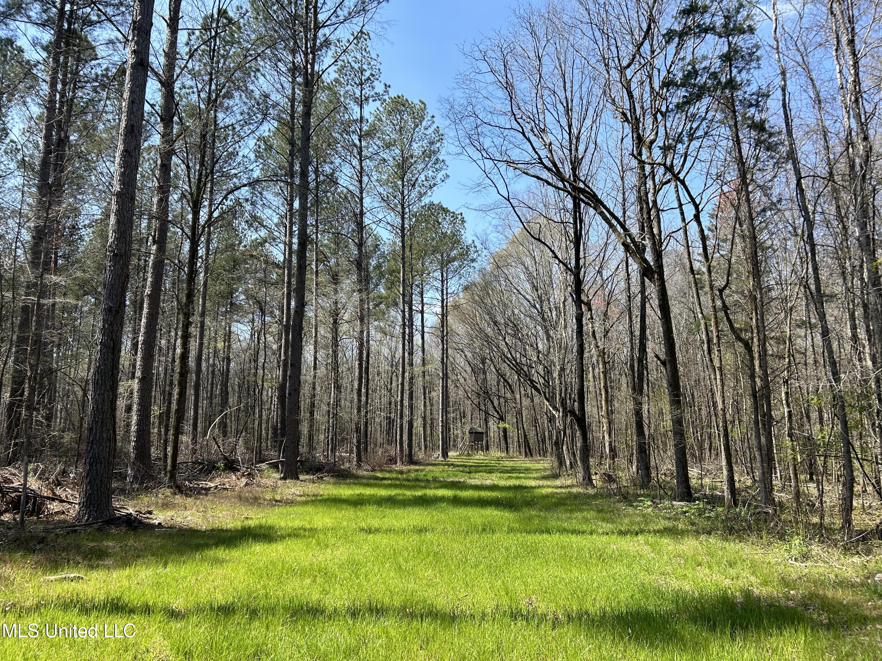 Ms-8 Property Photo 1