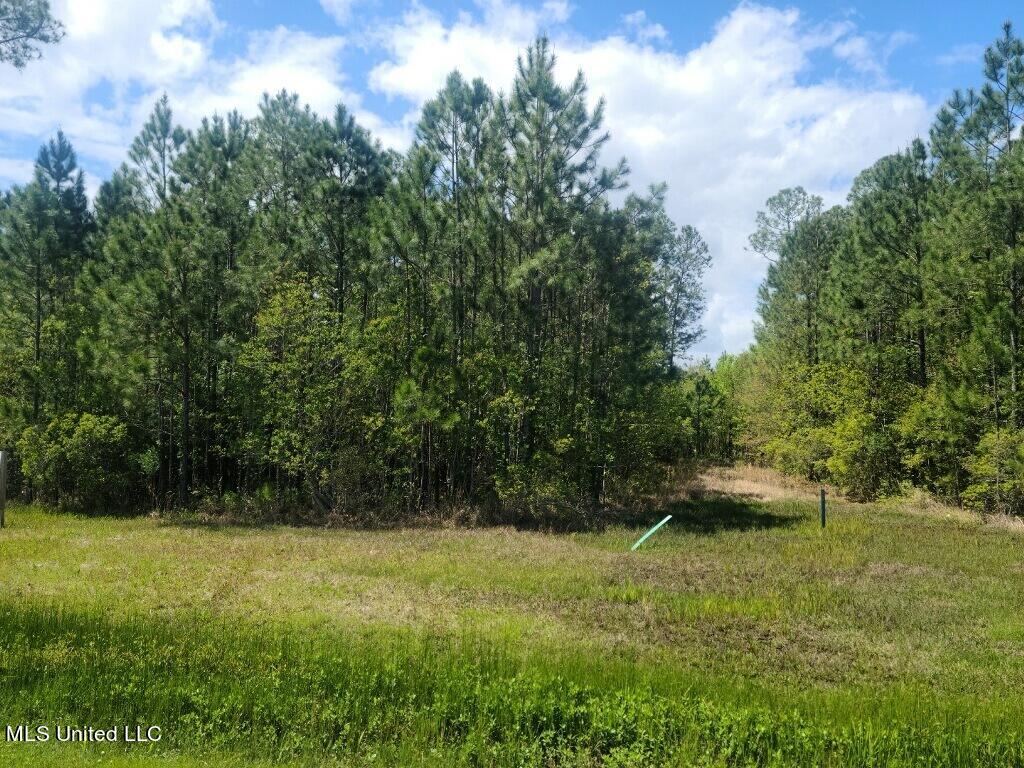 00 Highway 603 Property Photo 3