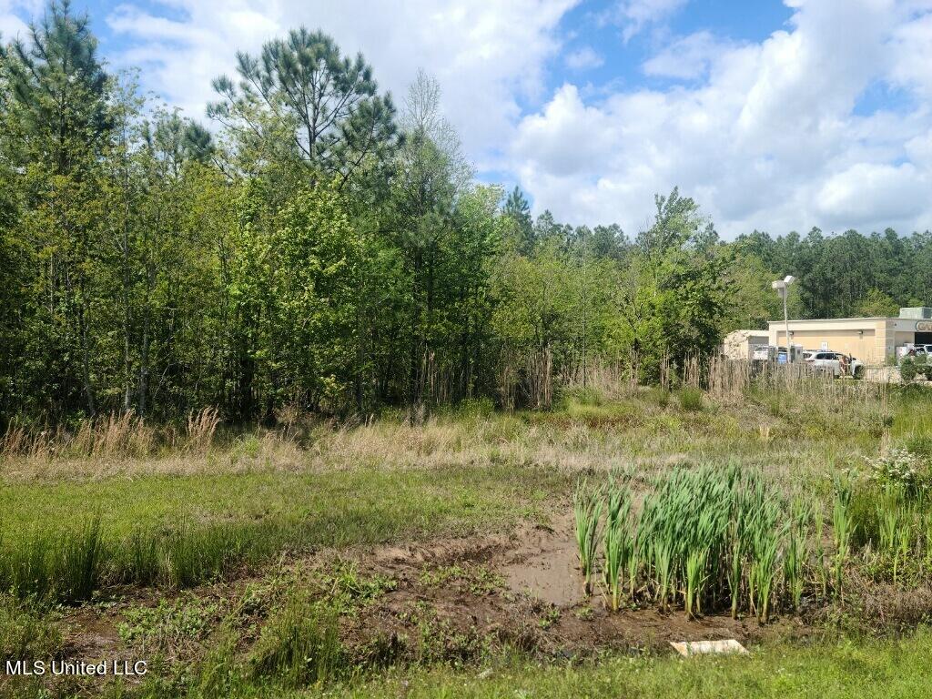 00 Highway 603 Property Photo 4