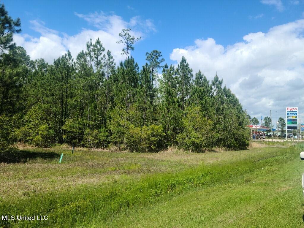 00 Highway 603 Property Photo 5