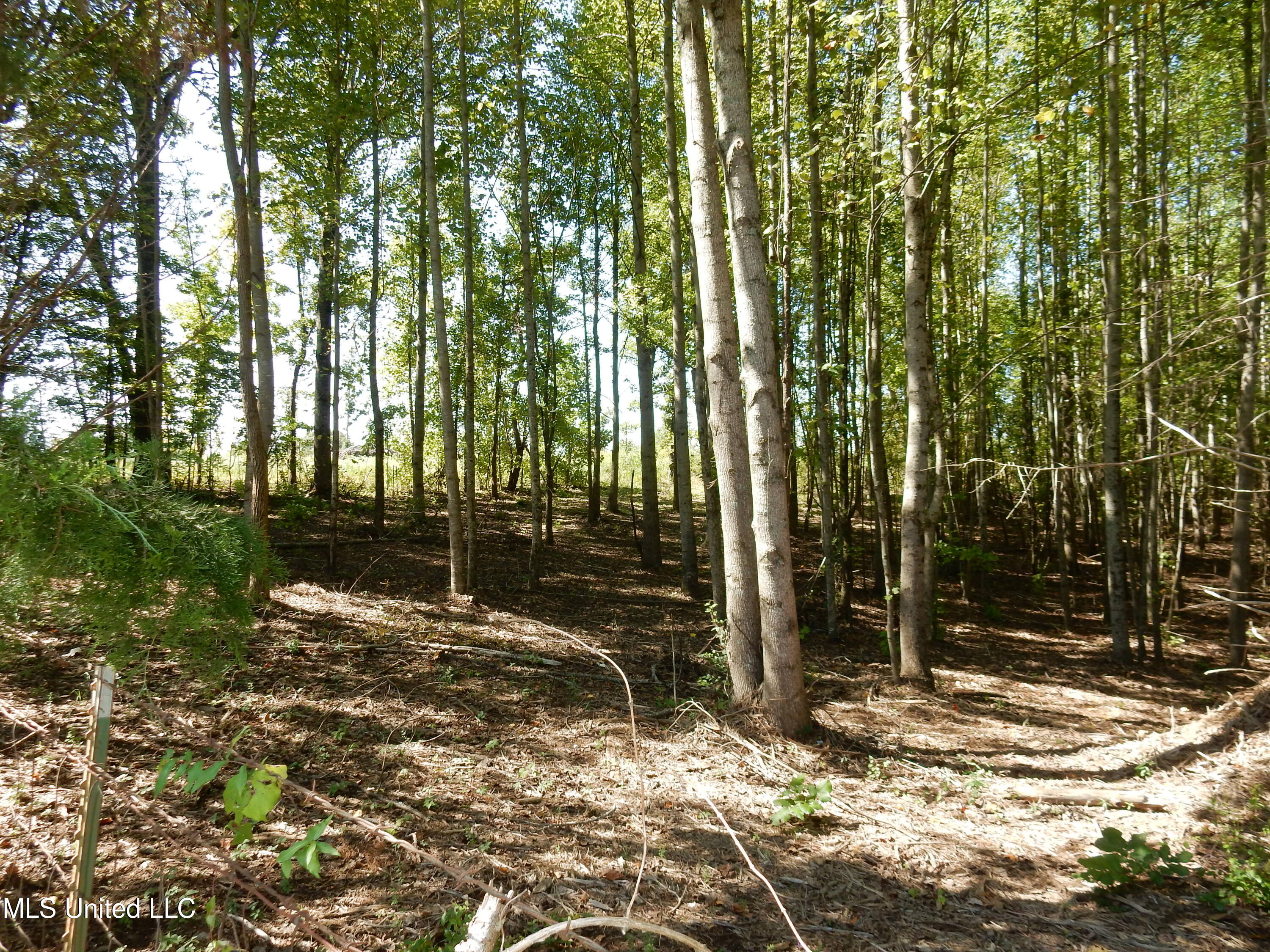 Lot 1 Cypress Corner Road Property Photo 3