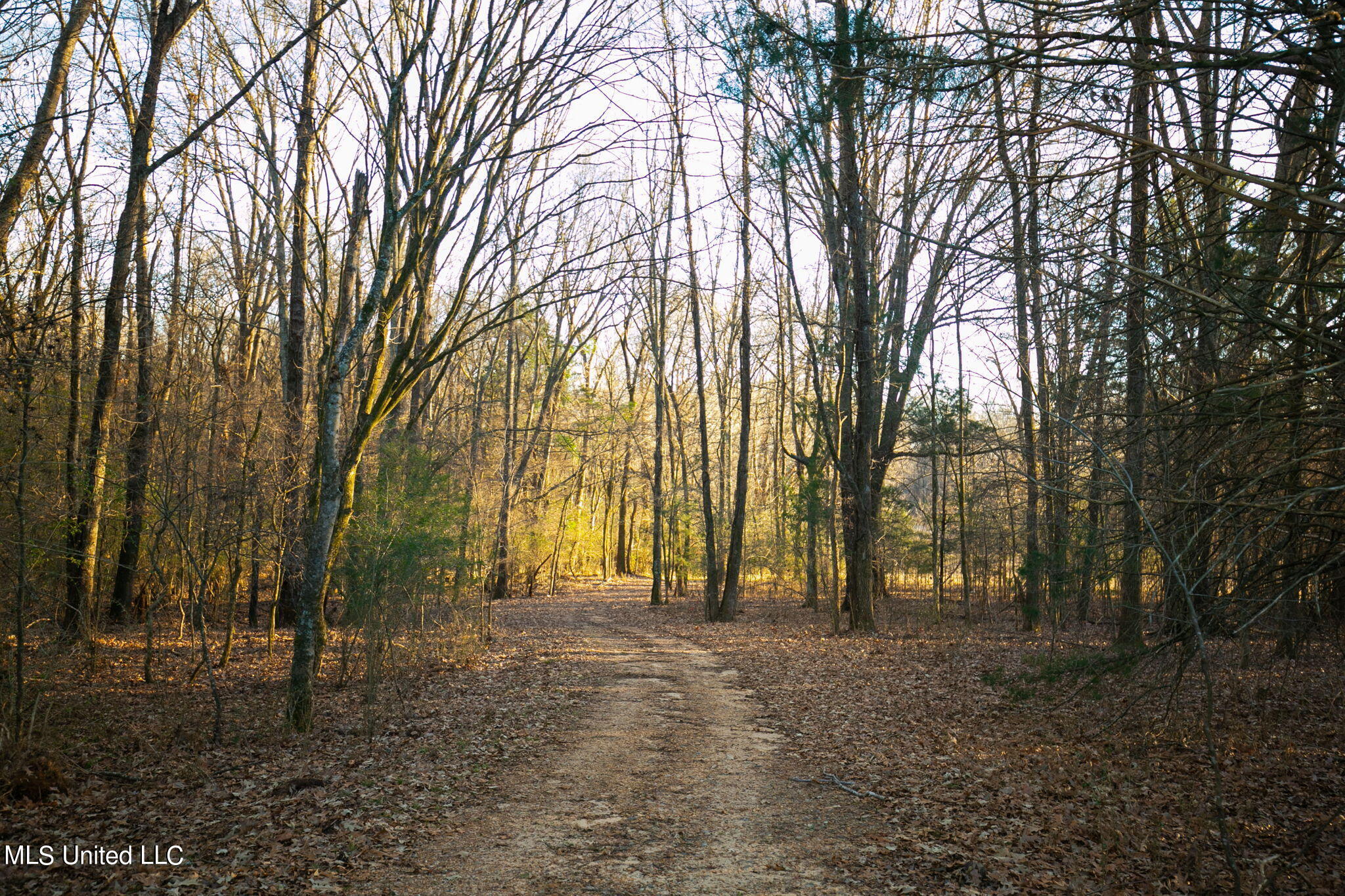 280 Mccullough Lane Property Photo 46