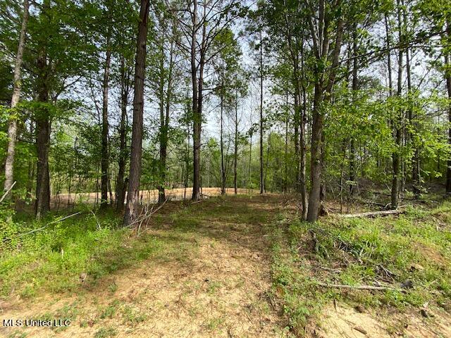 108 Shinault Road Property Photo 6