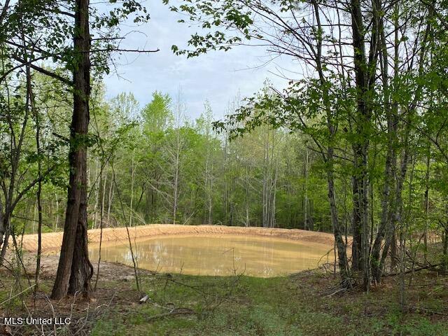 108 Shinault Road Property Photo 7