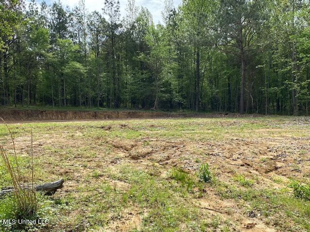 108 Shinault Road Property Photo 8