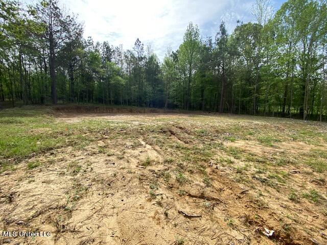 108 Shinault Road Property Photo 9